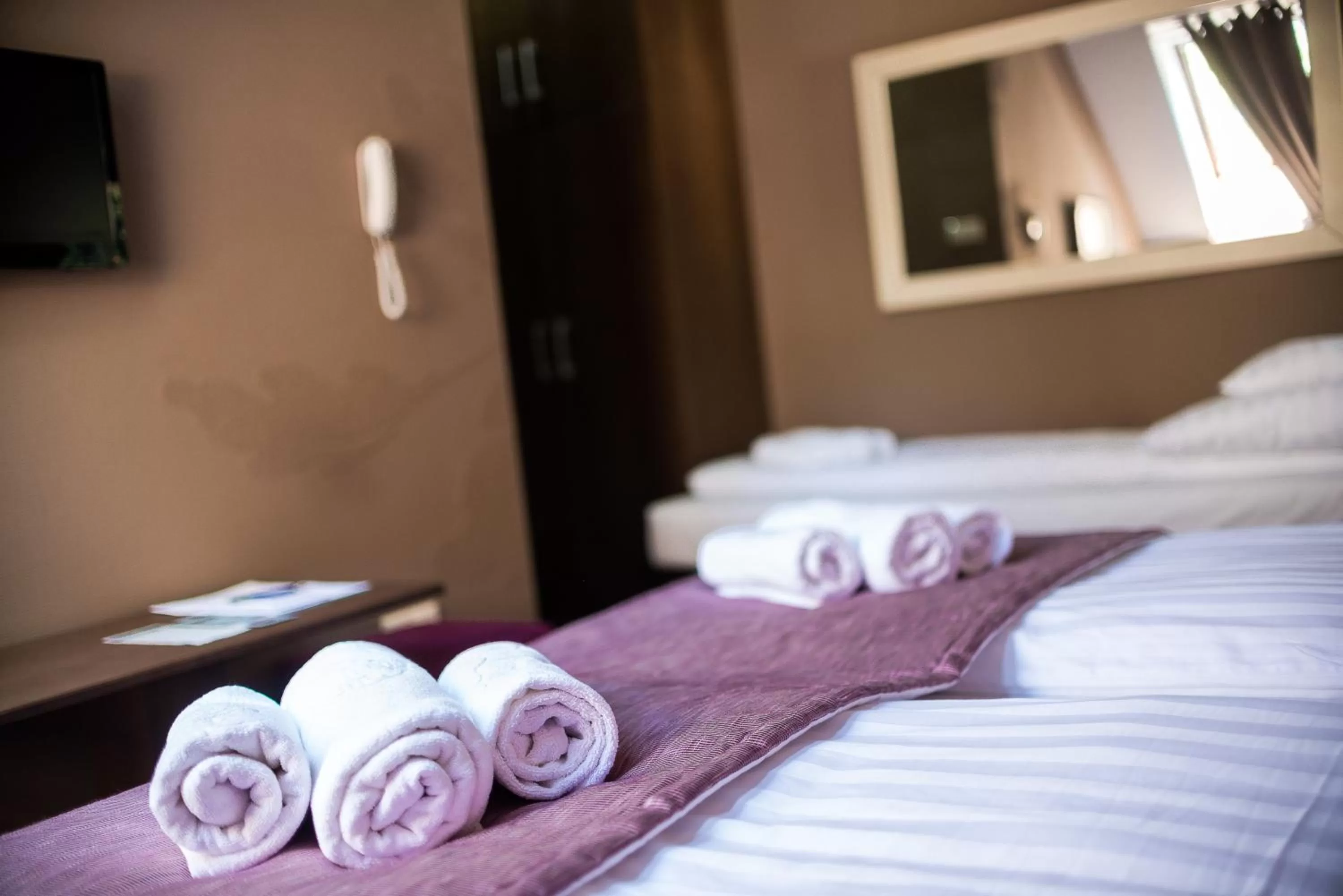 Double or Twin Room - single occupancy in Hotel Fürdőház