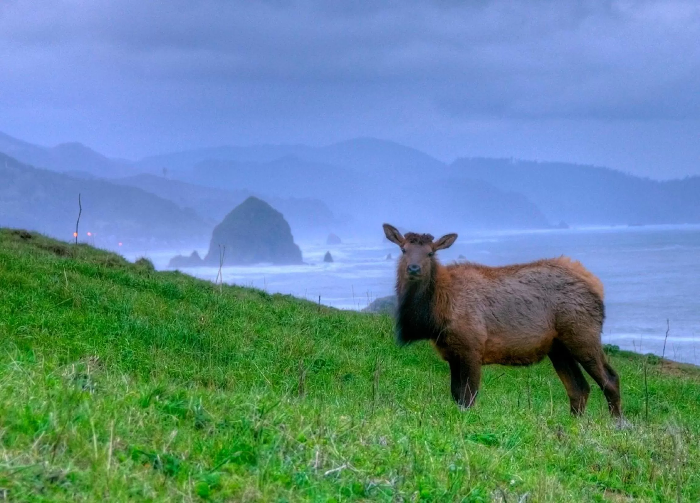 Area and facilities in Ecola Creek Lodge