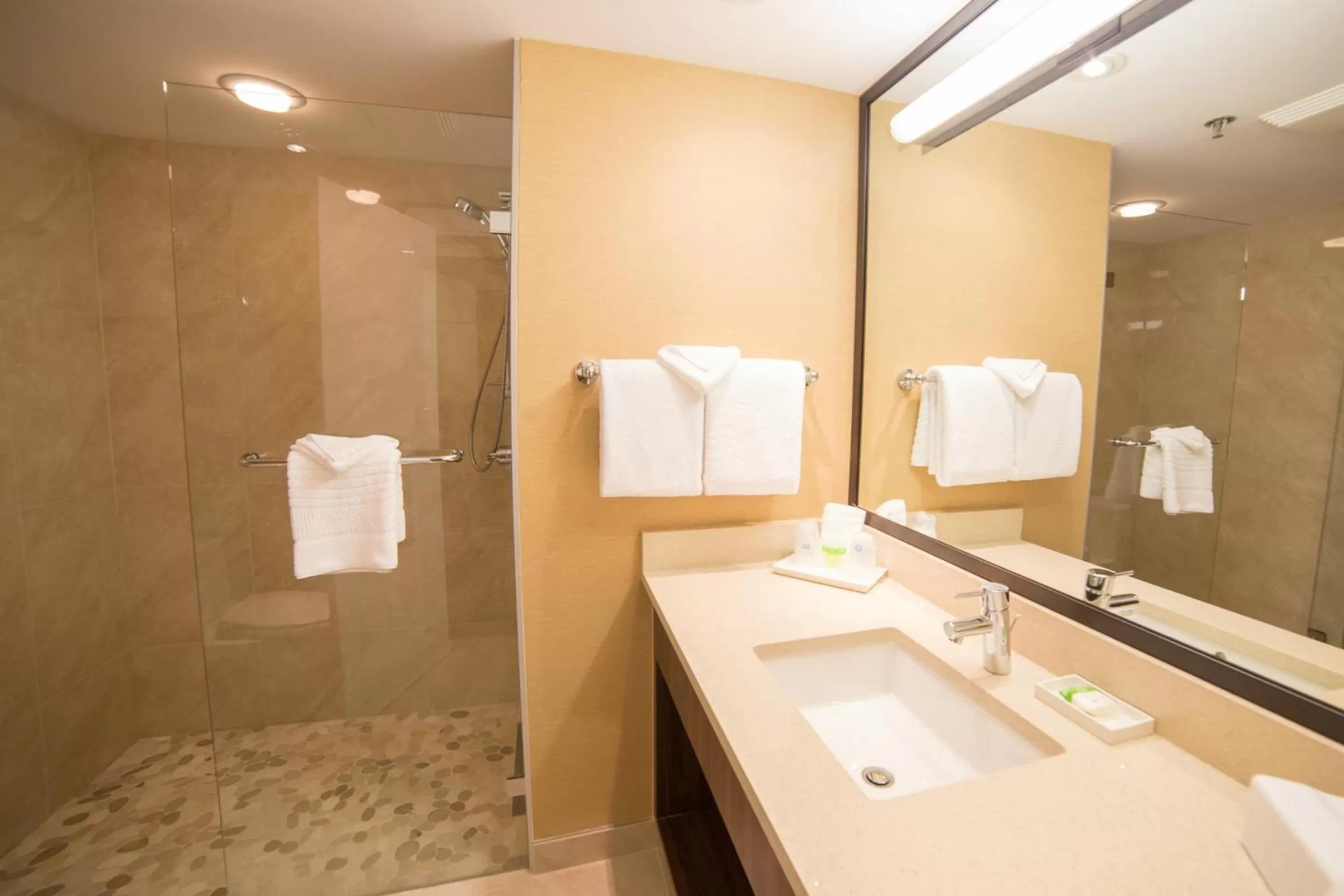 Bathroom in Abercorn Hotel, Trademark Collection by Wyndham