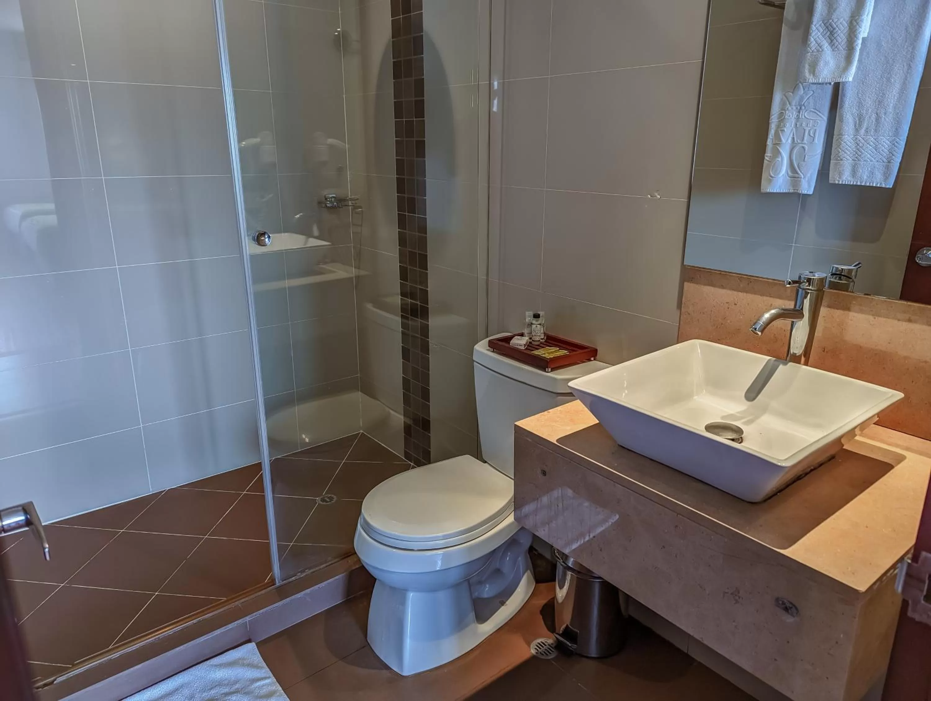 Shower in Hotel Charlotte Suite 26