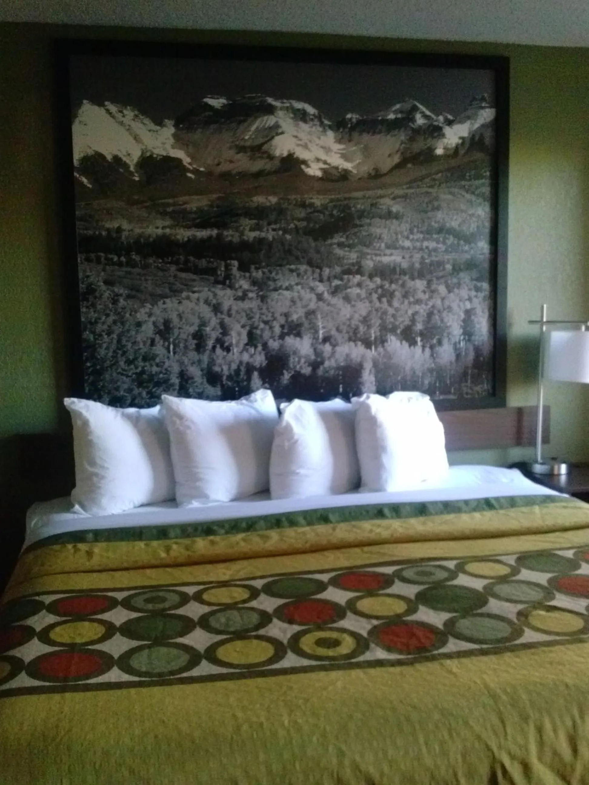 Bed in Super 8 by Wyndham Denver Central