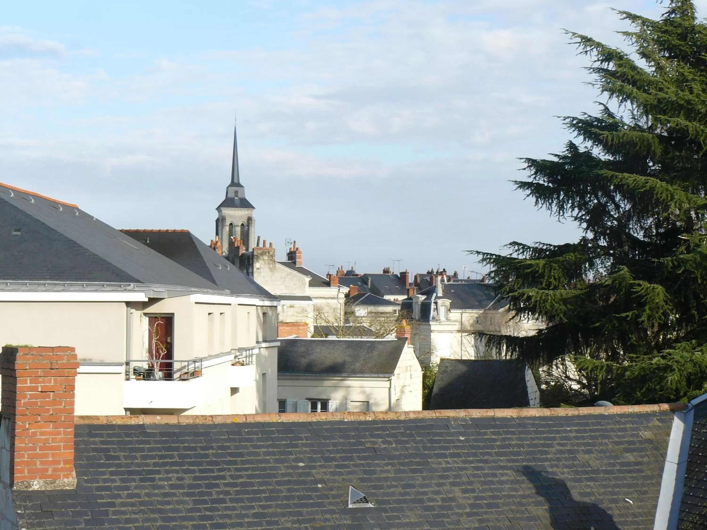 City view in La Maison de Saumur