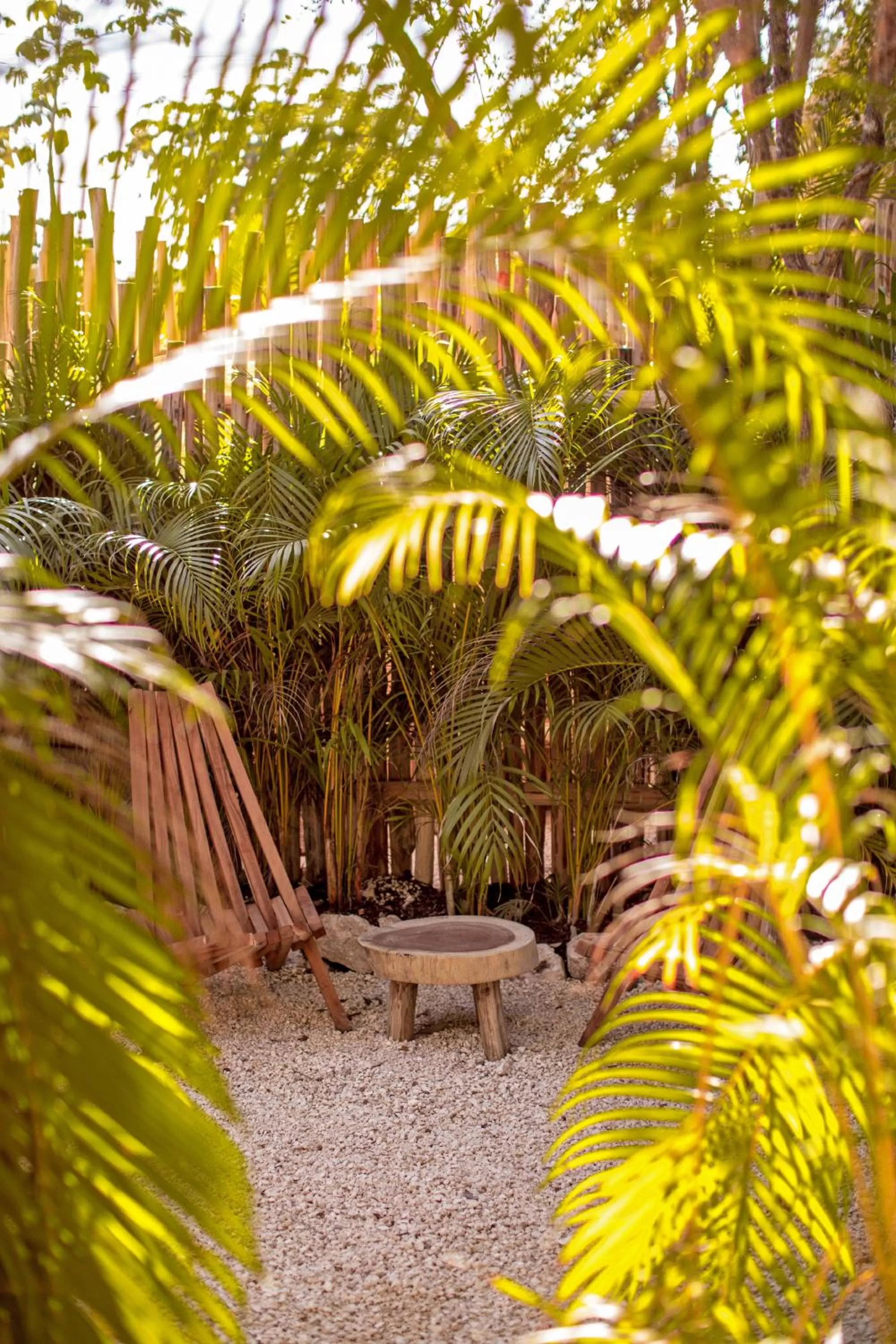 Spring in Hotel Muaré Tulum Wellness and Spa