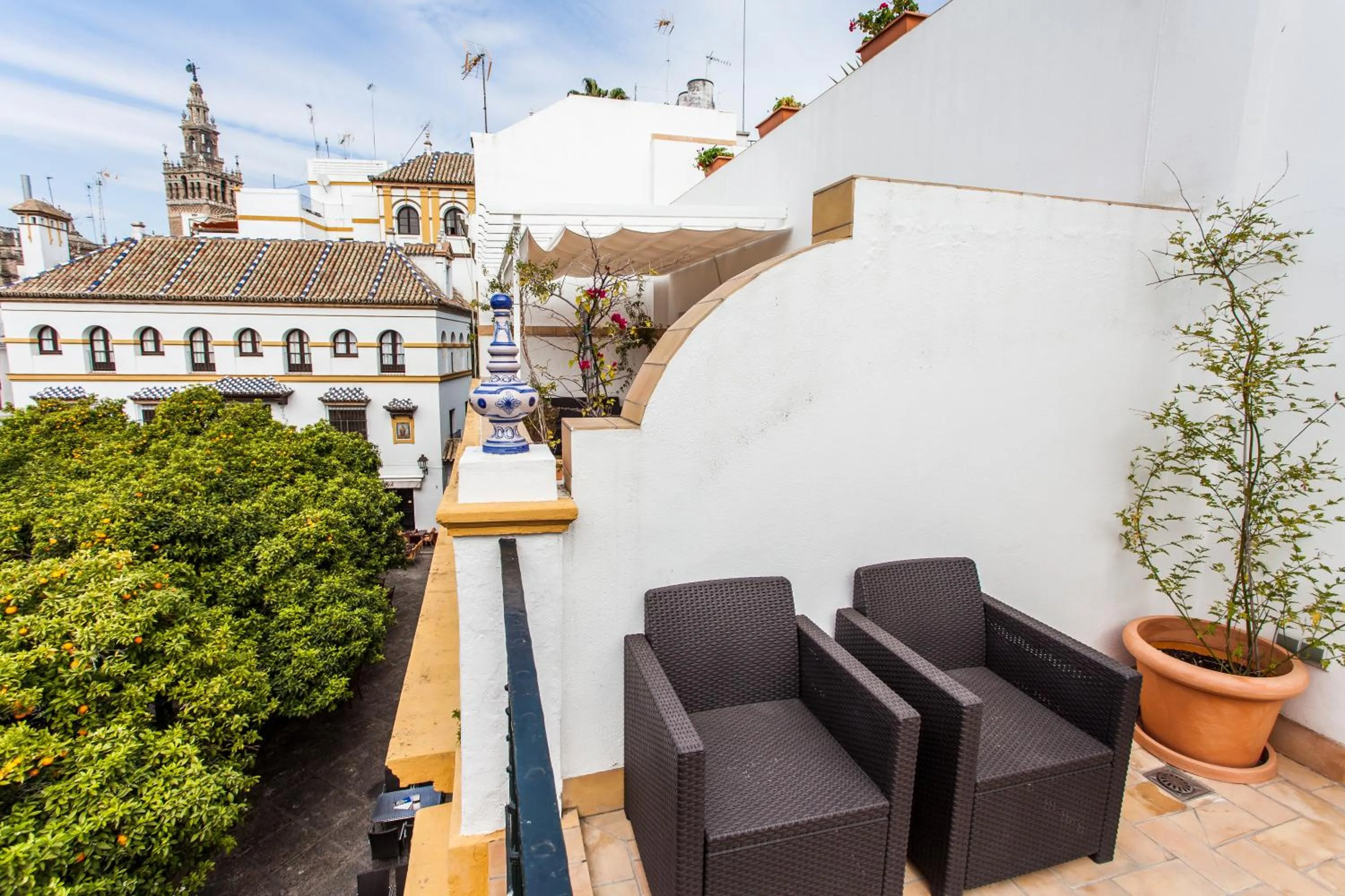 Balcony/Terrace in Hotel Boutique Elvira Plaza