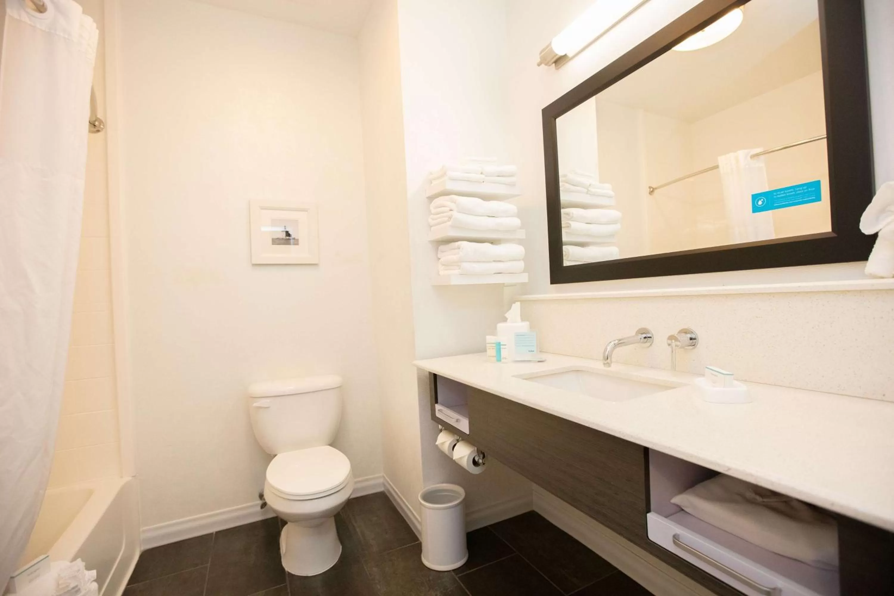 Bathroom in Hampton Inn Toledo Oregon