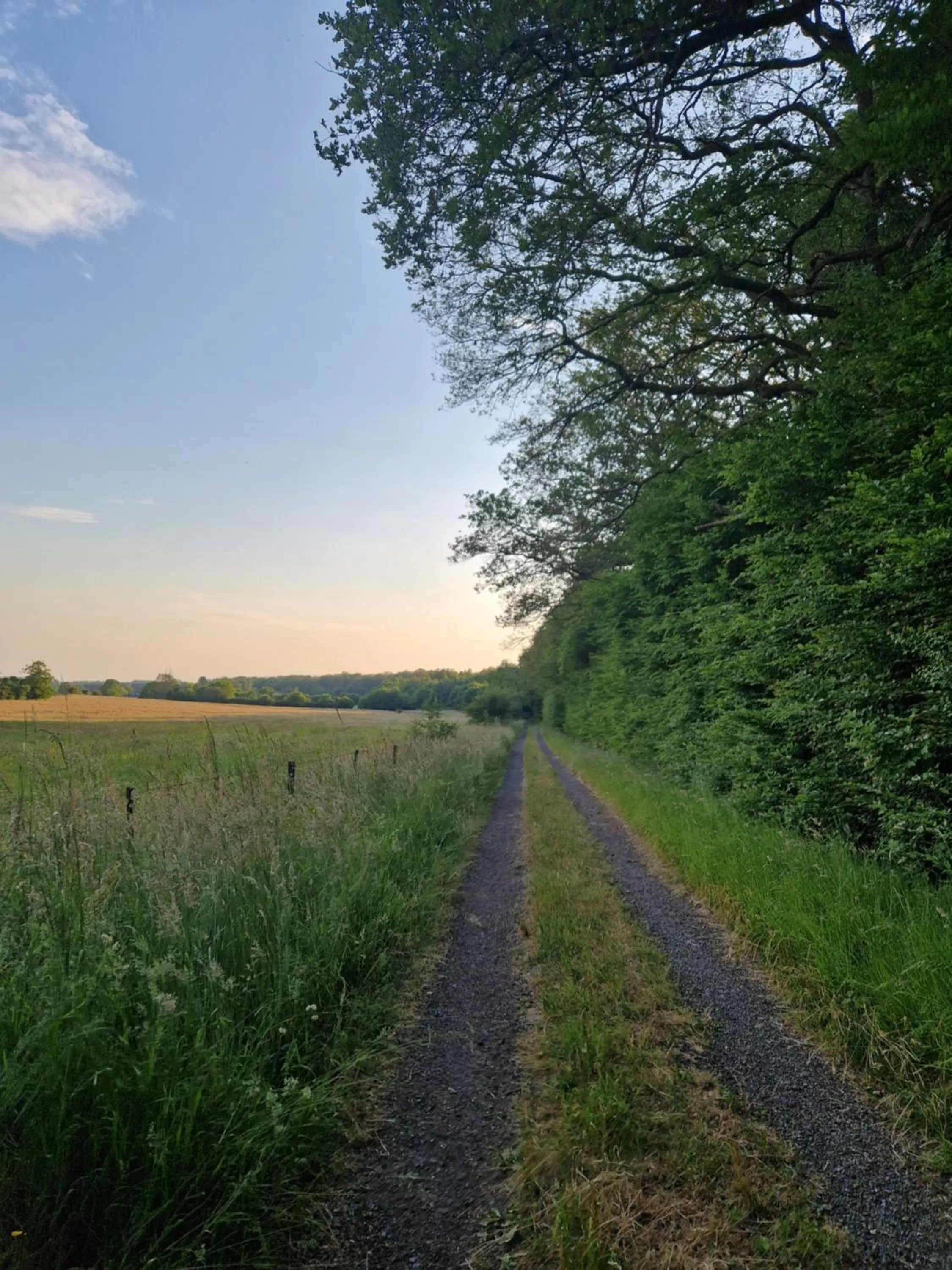 Natural landscape in Habitat