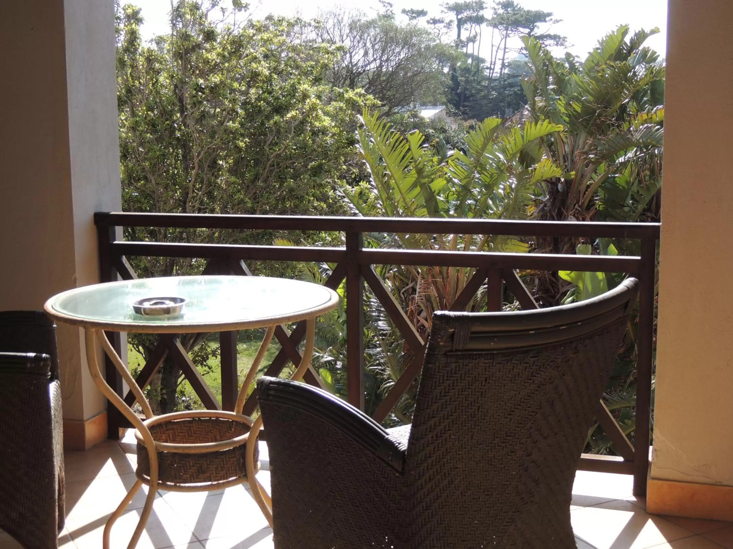 Photo of the whole room in La Foret