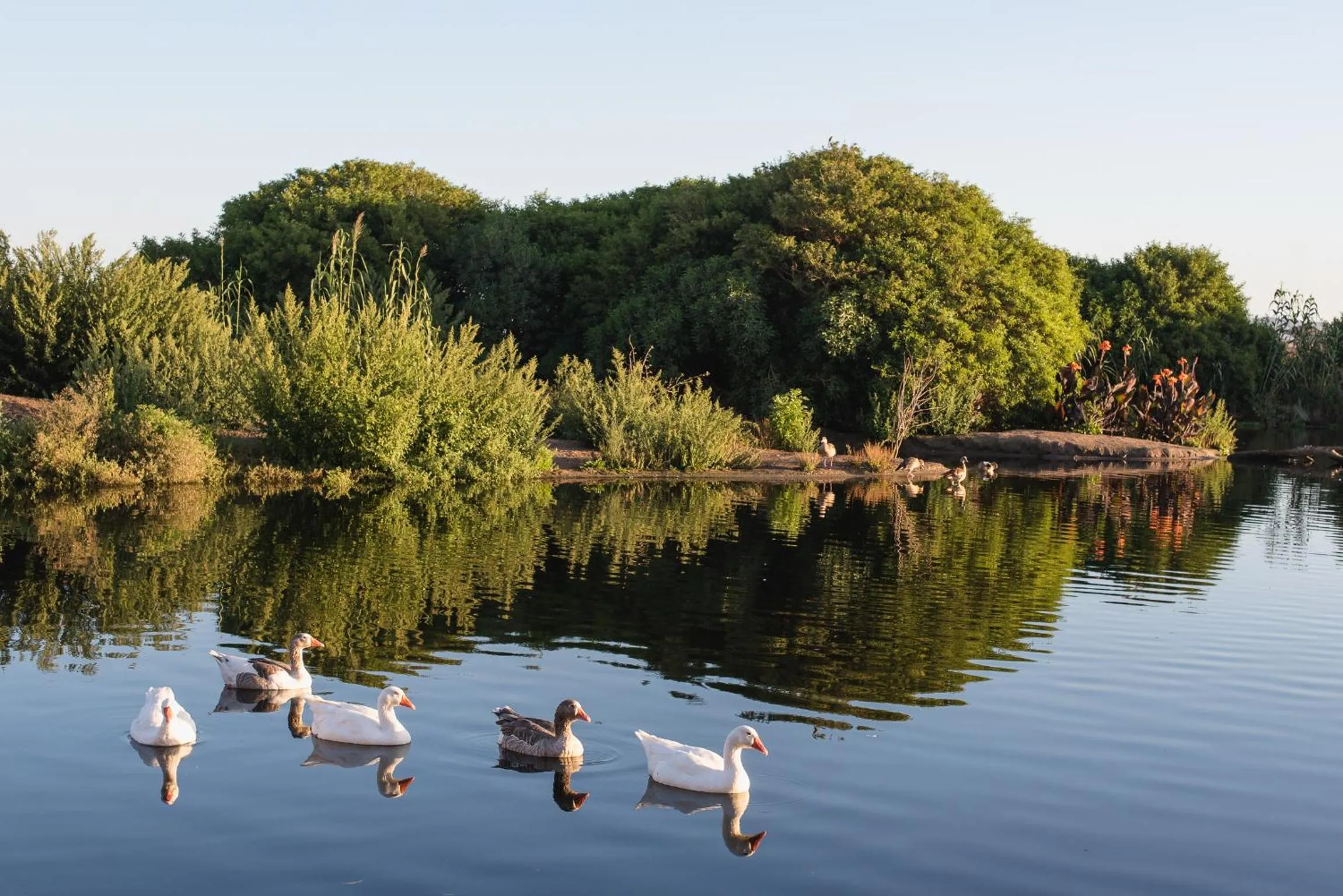 Bird's eye view in Blue Bay Lodge