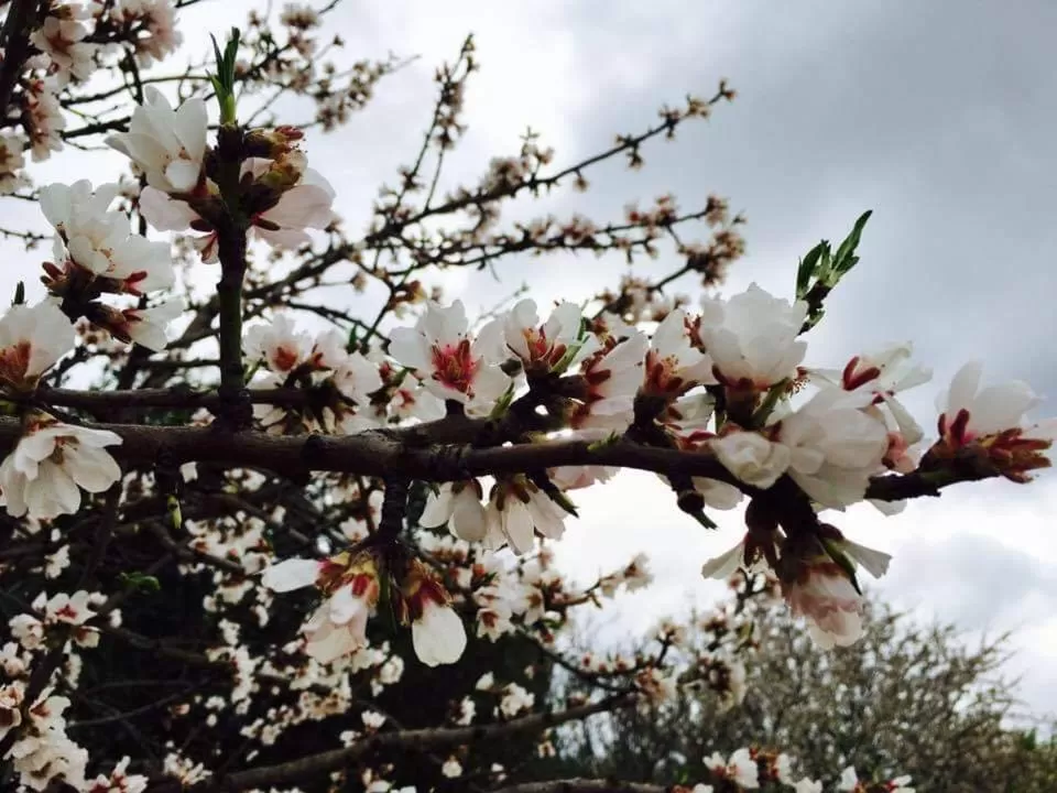 Dimora Fraula Guest House