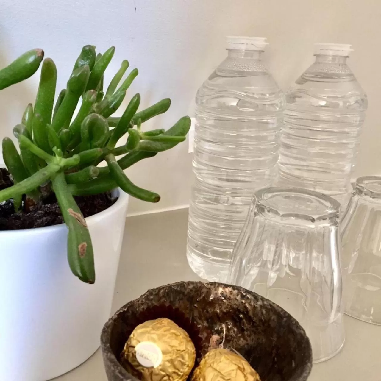 Drinks in B&B Het Atelier