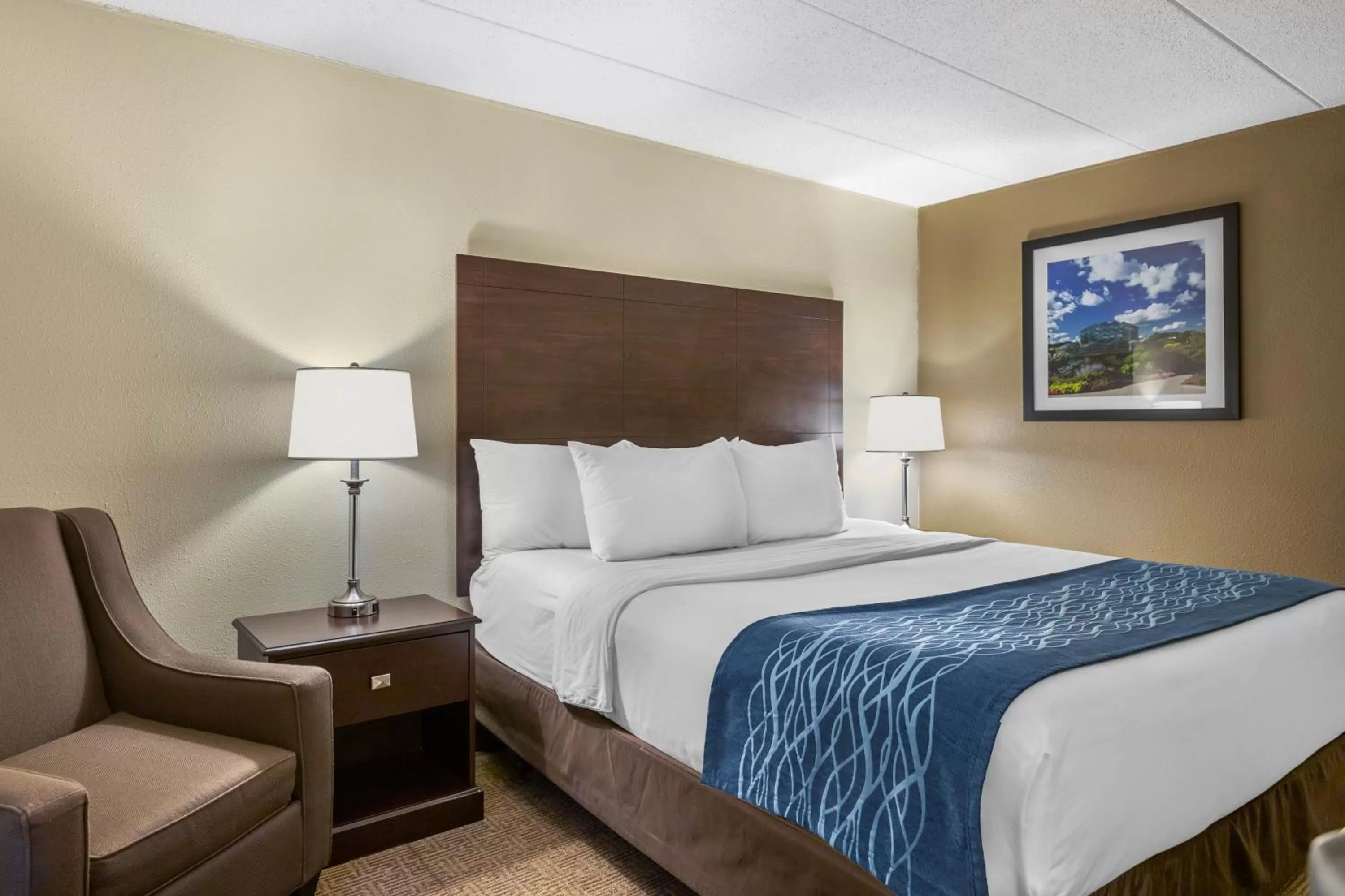 King Suite - Non-Smoking in Comfort Inn Grand Rapids Airport