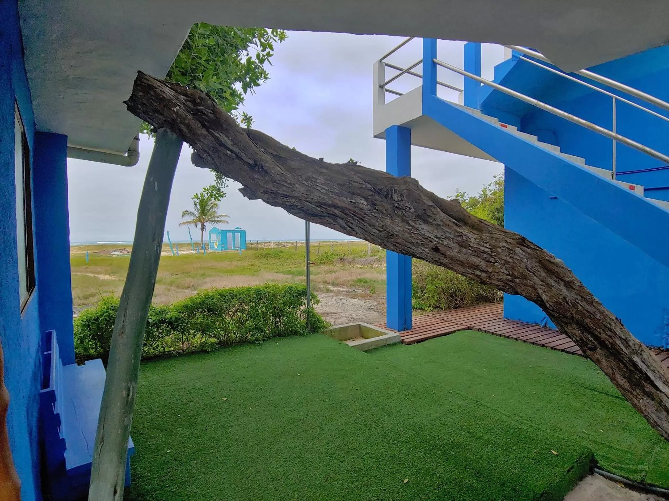 Entertainment in Hotel La Jungla