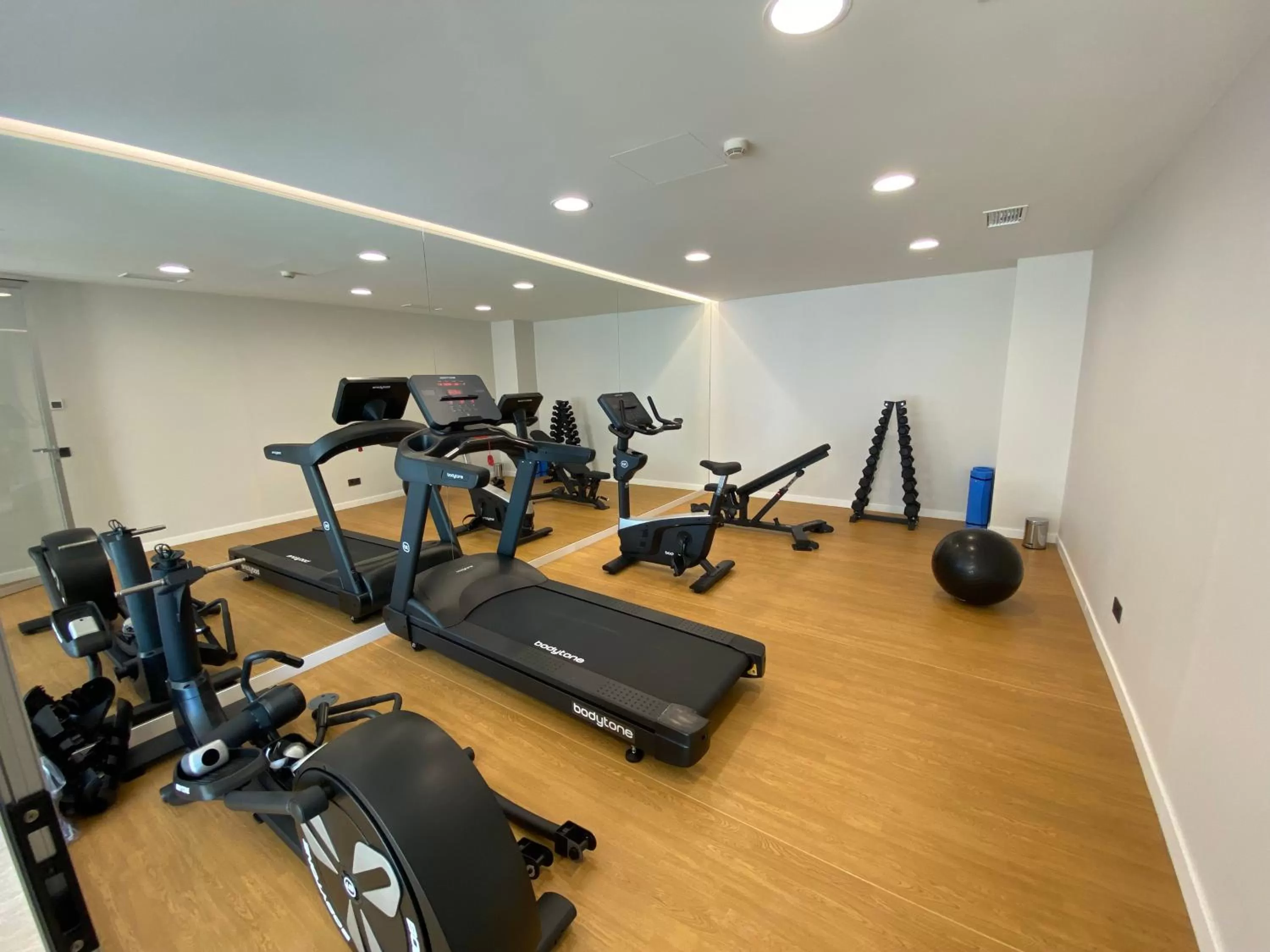 Fitness centre/facilities in Eurostars San Lazaro
