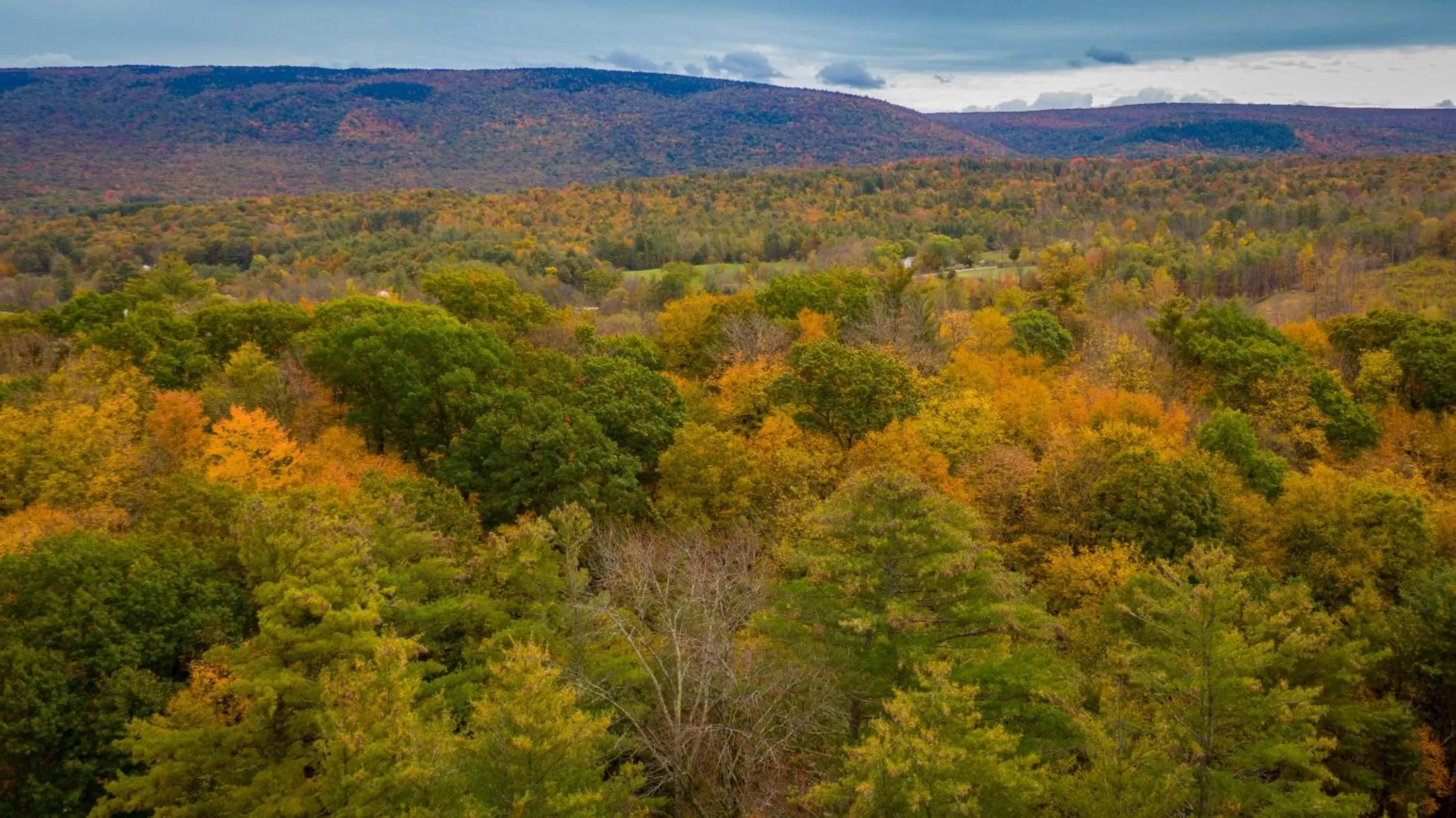Arcady Mountain Motor Lodge