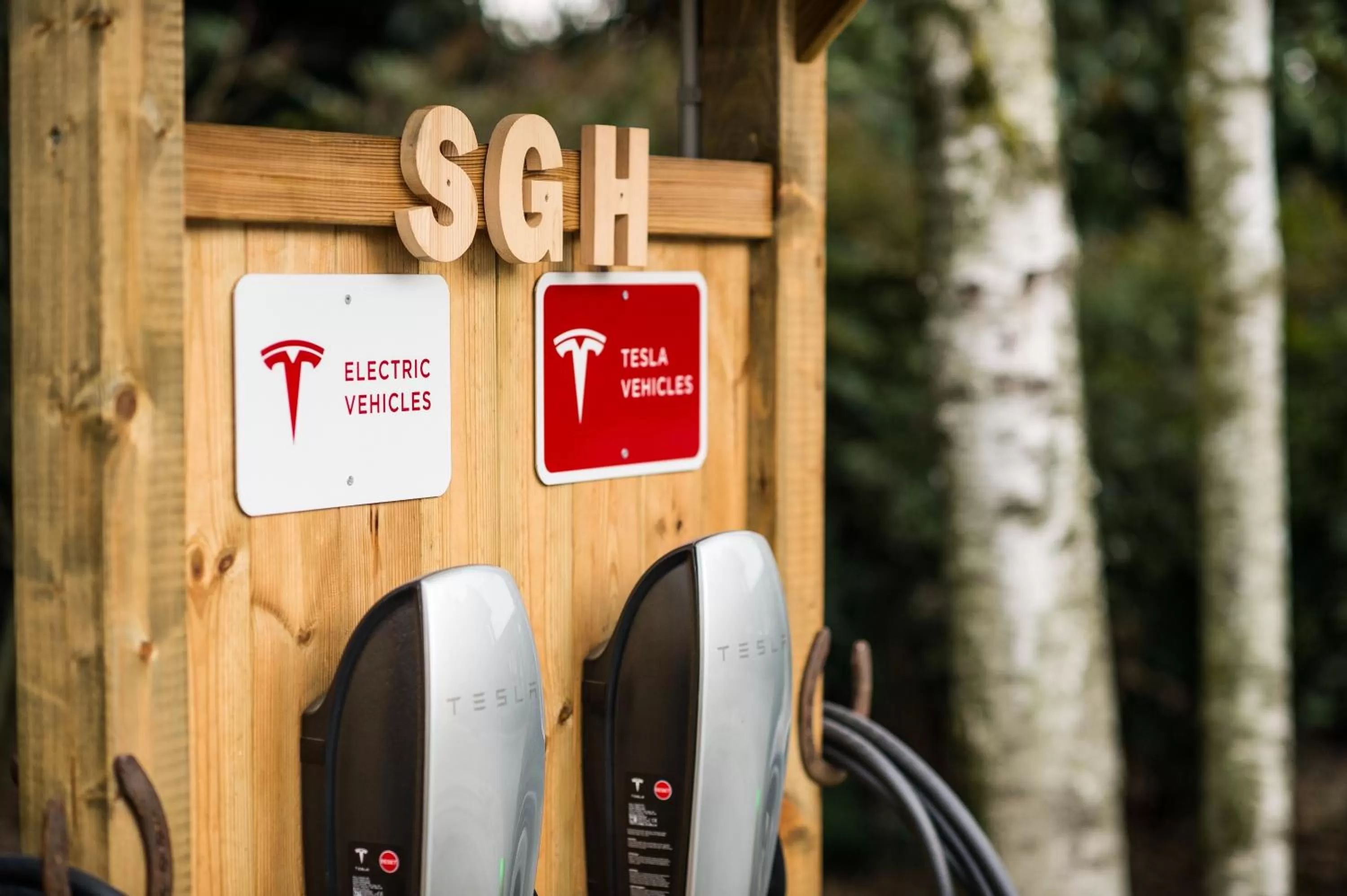 On site in San Giacomo Horses & Agriturismo