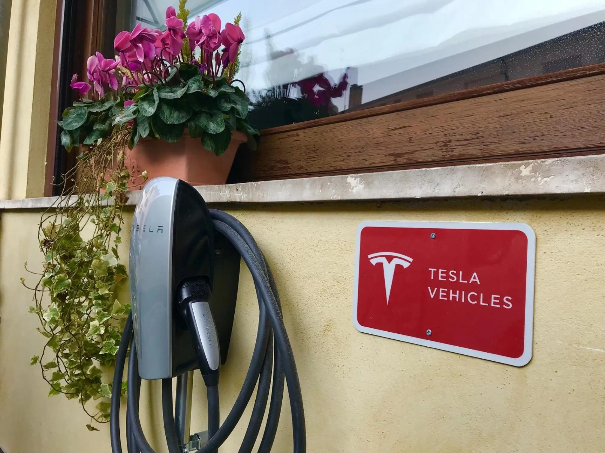 Area and facilities in Albergo Roma, BW Signature Collection