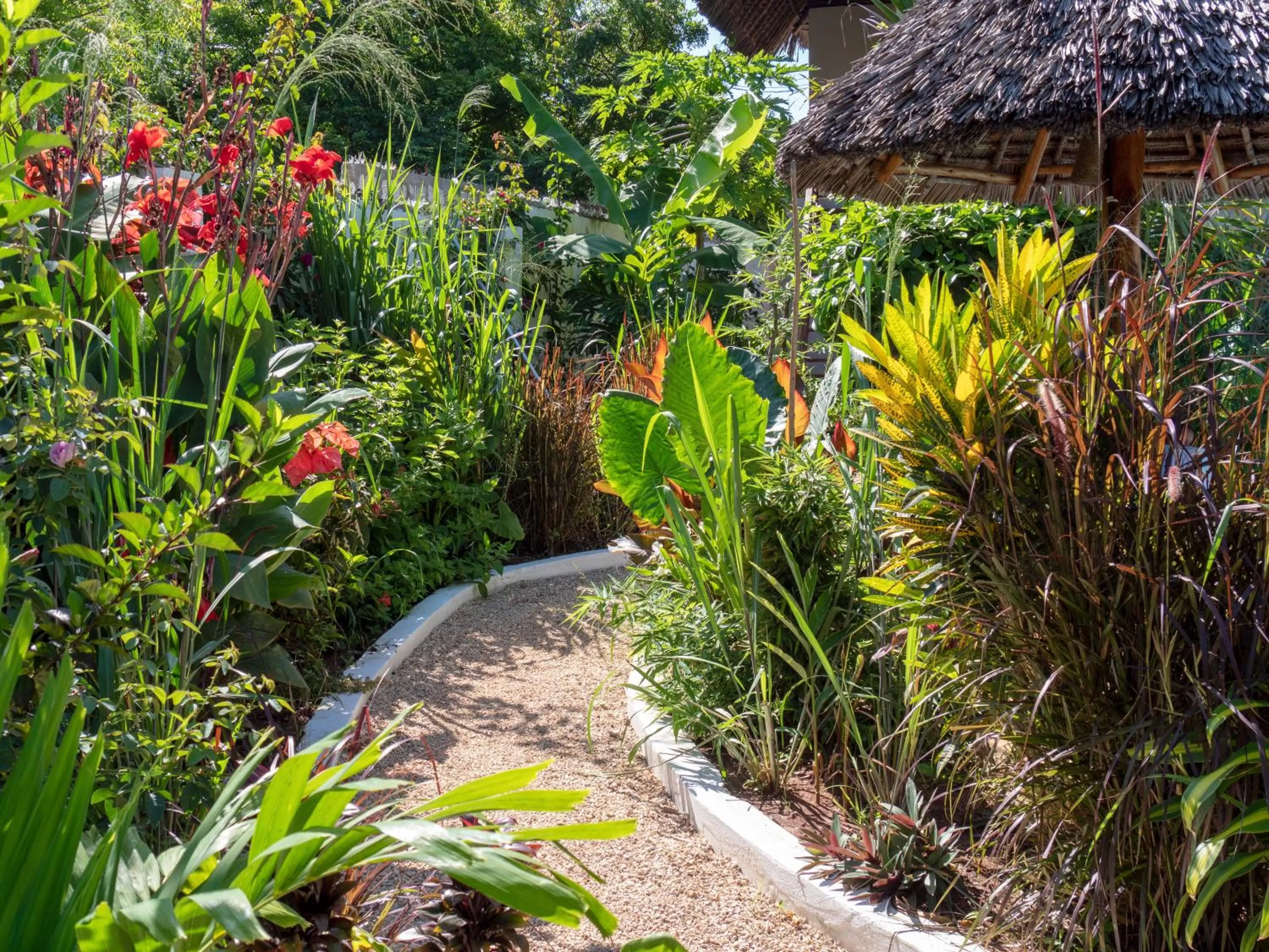 Garden in Aluna Nungwi