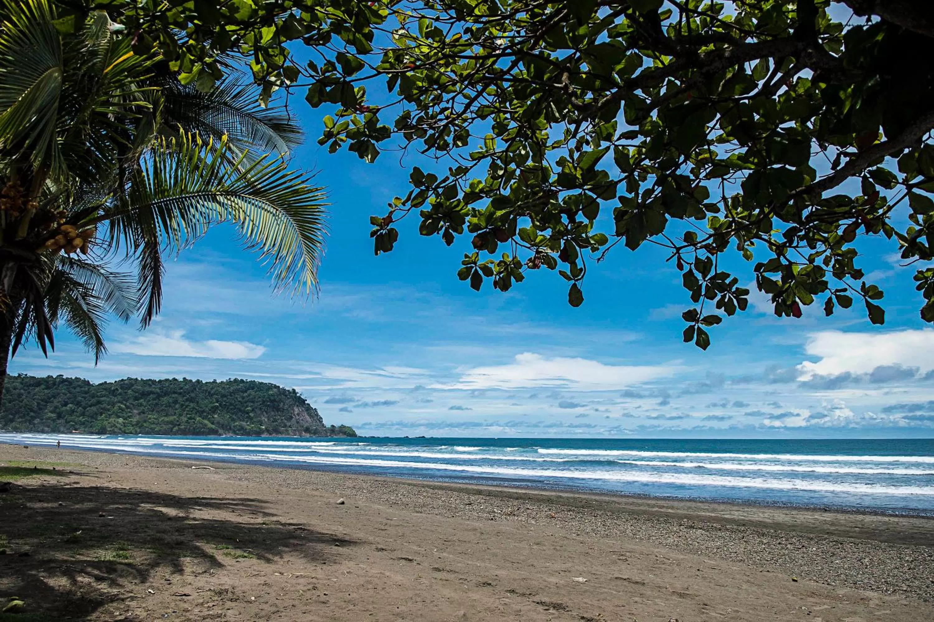 Beach in Selina Jaco