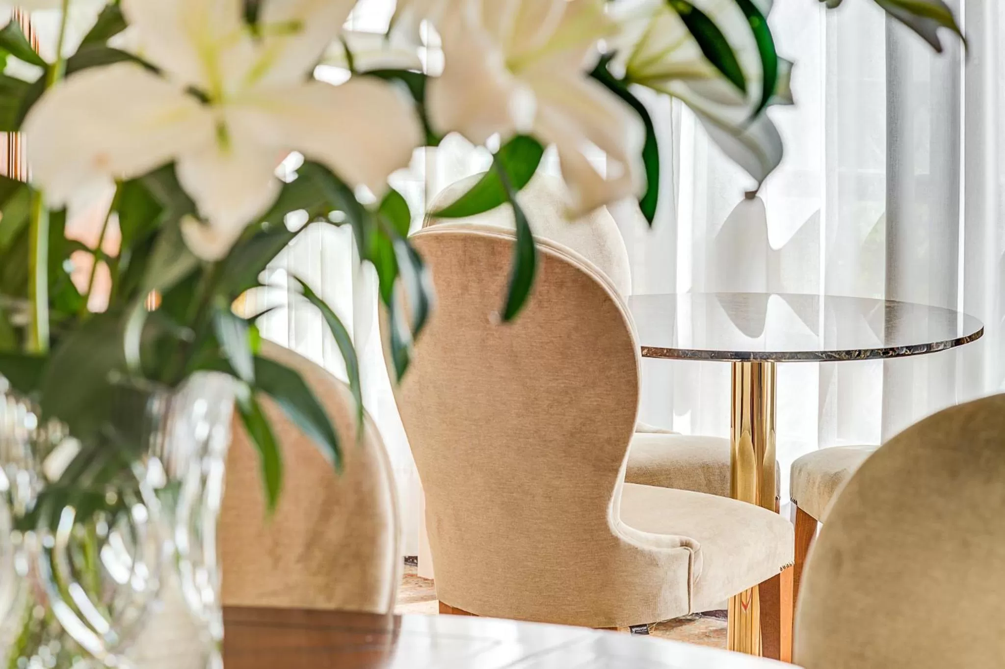 Area and facilities in Ca' Cappellis