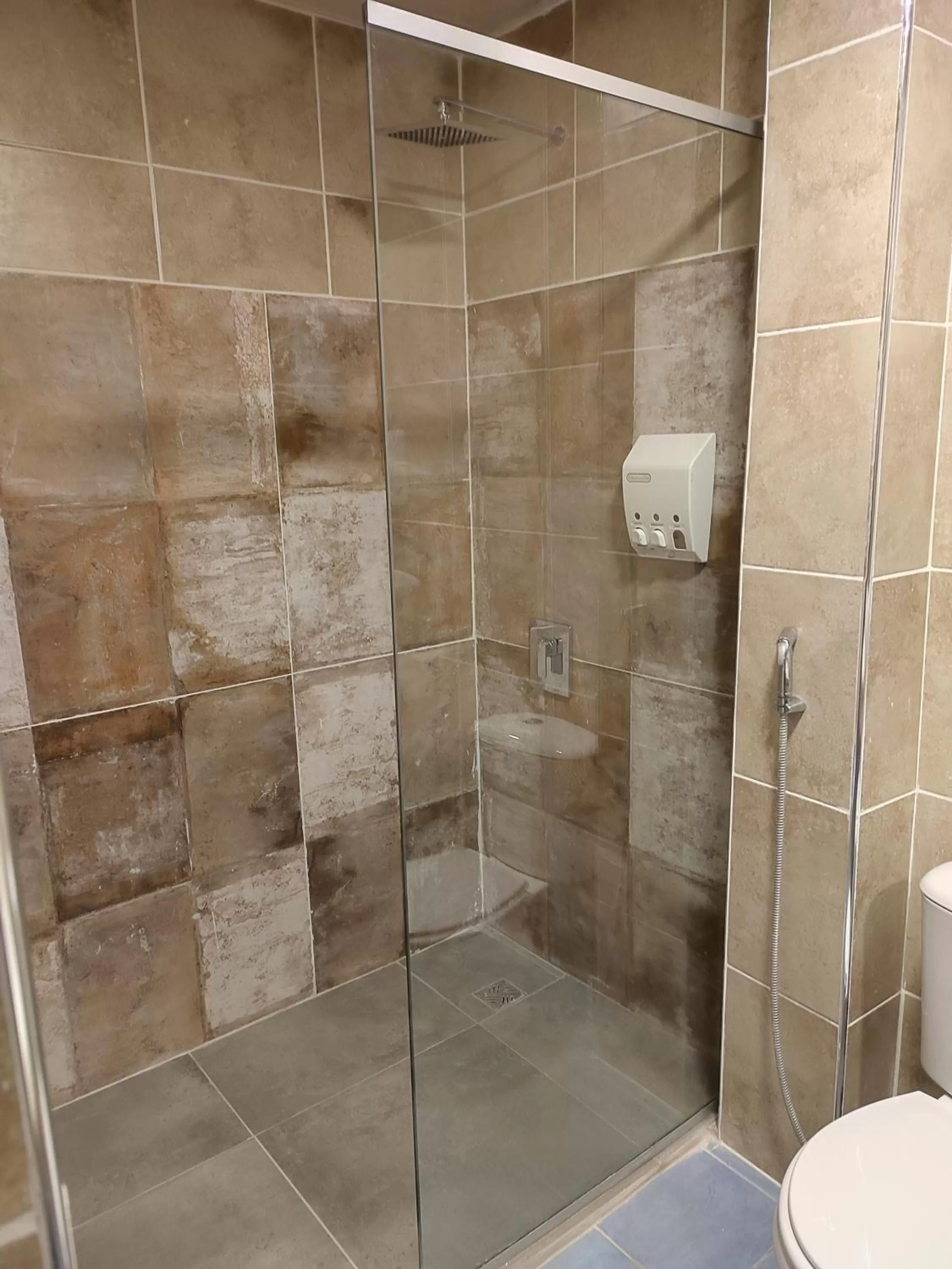 Toilet in Hotel Los Ceibos