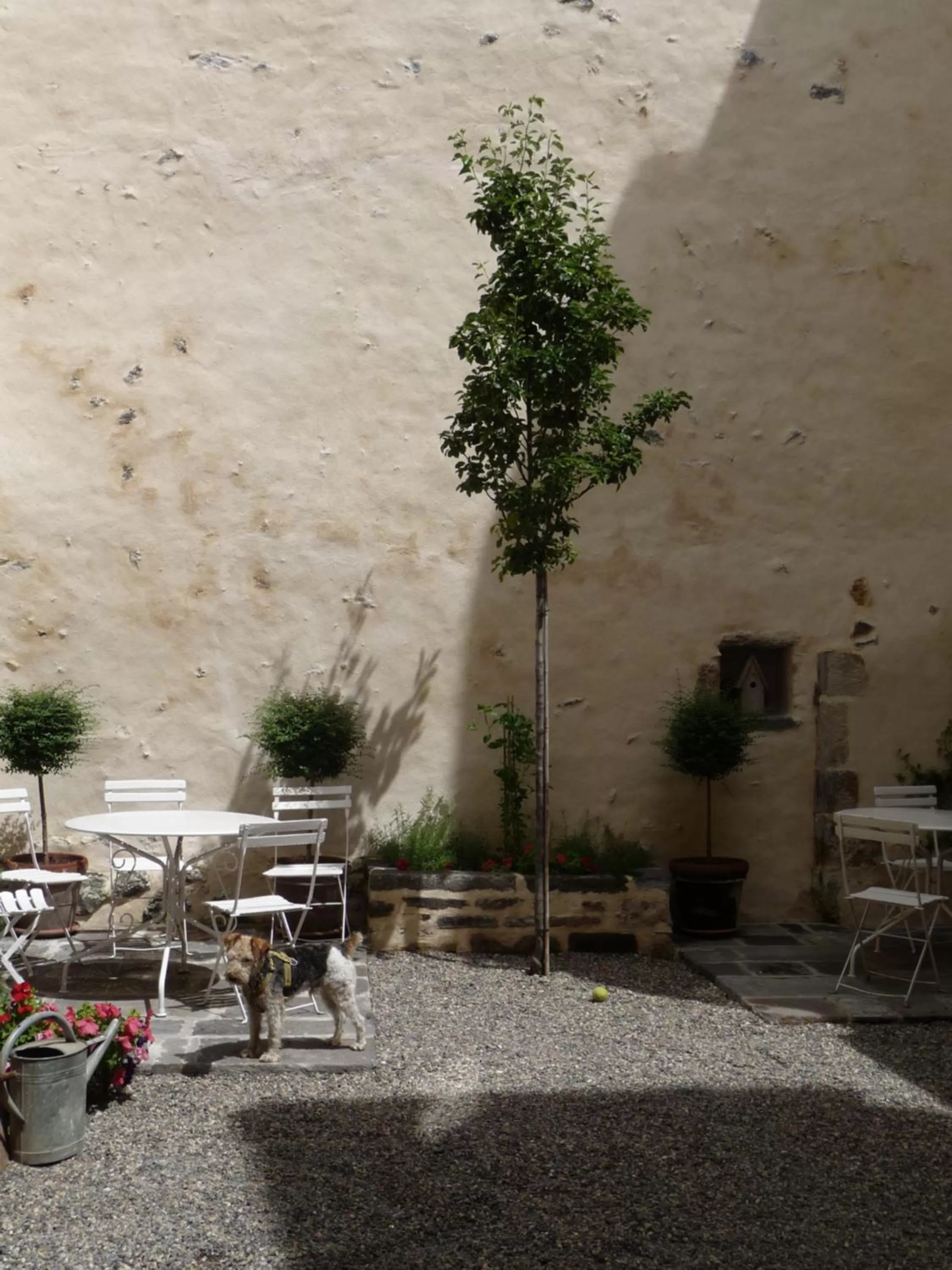 Garden in Les quatre provinces d'Irlande