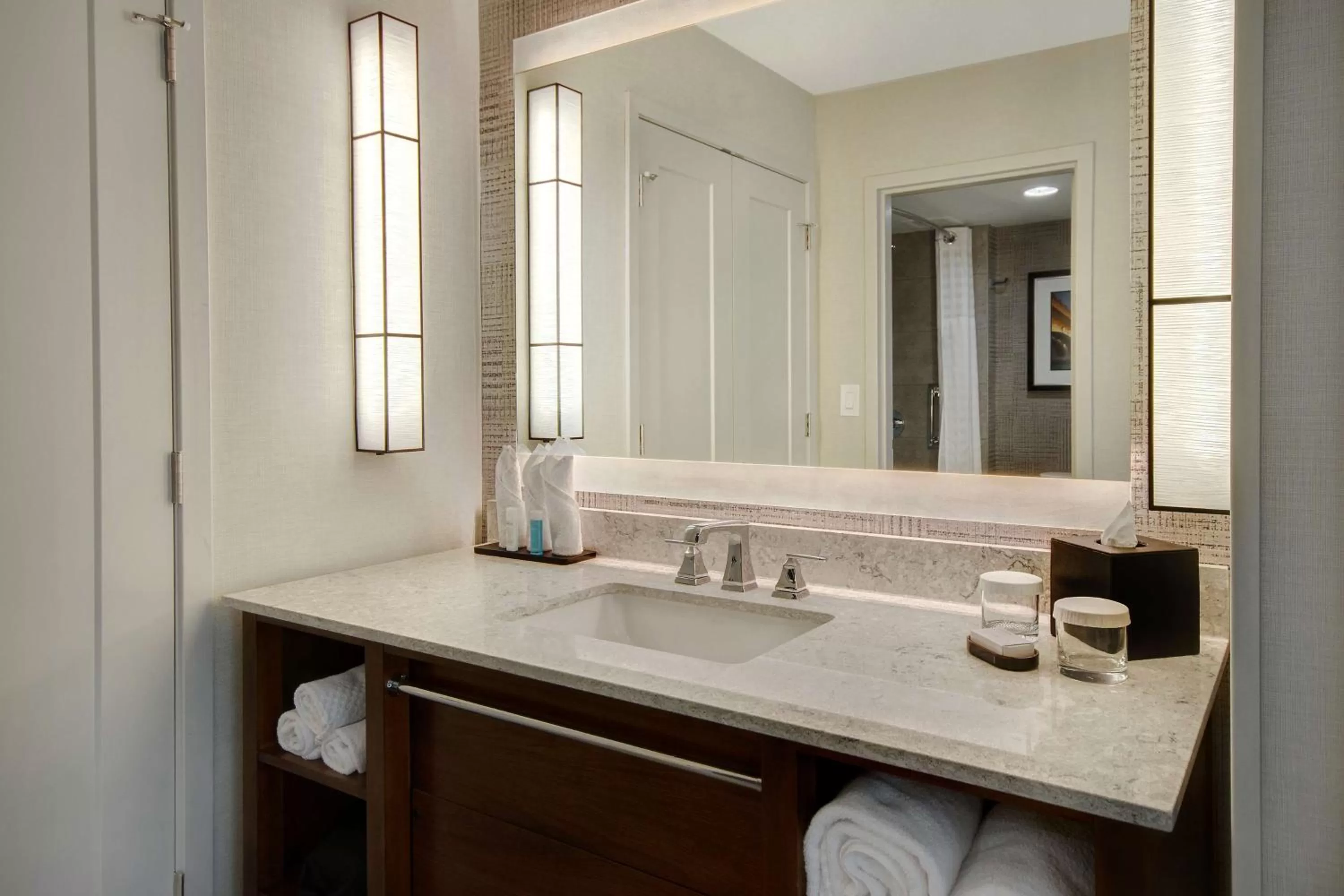 Bathroom in Embassy Suites by Hilton Detroit Metro Airport