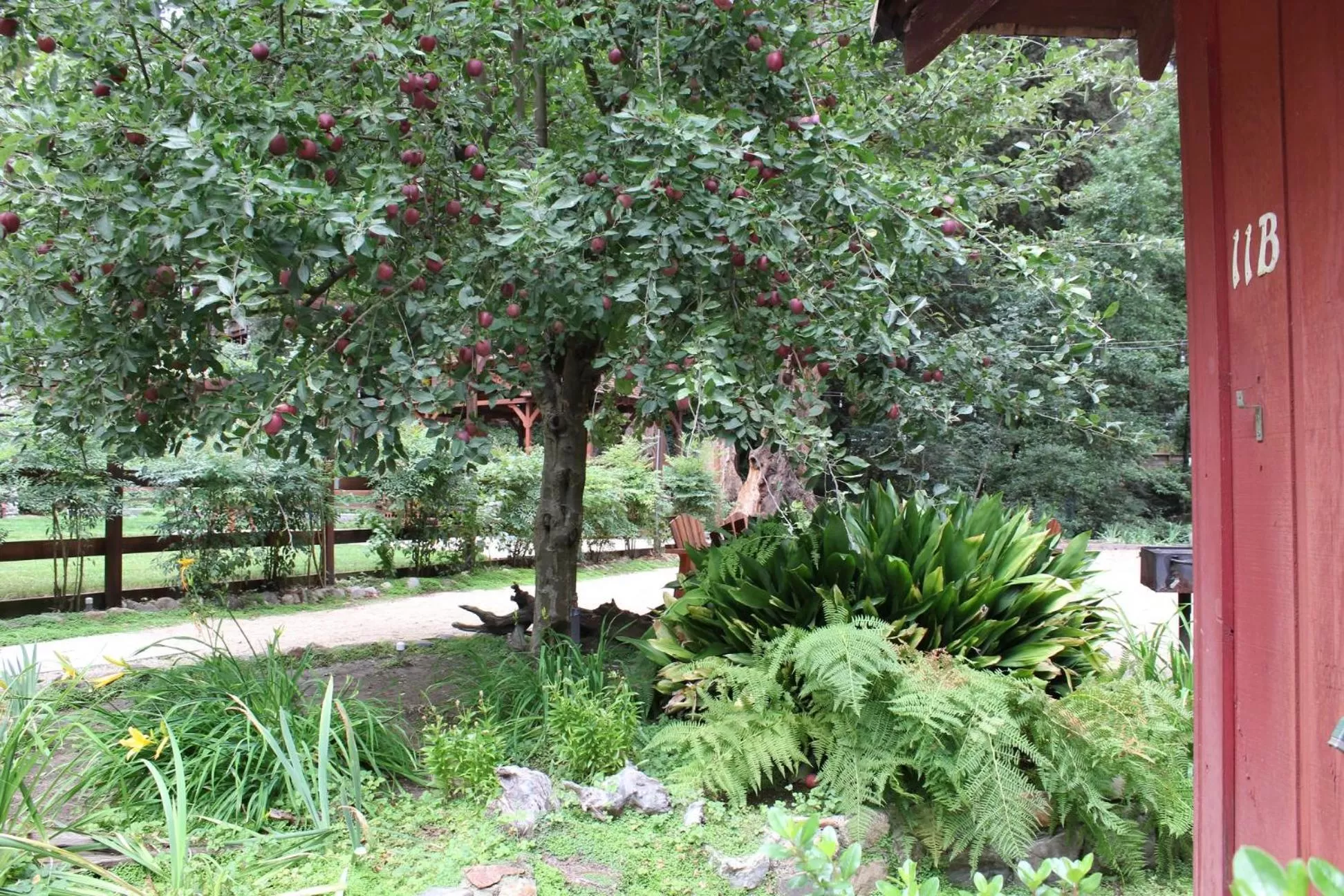 Natural landscape in Fern River Resort