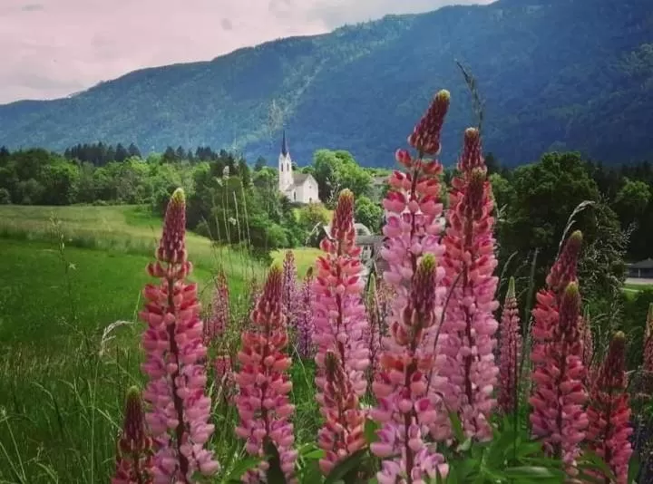 Natural landscape in Gasthaus zum Fuchs - Familie Andrä