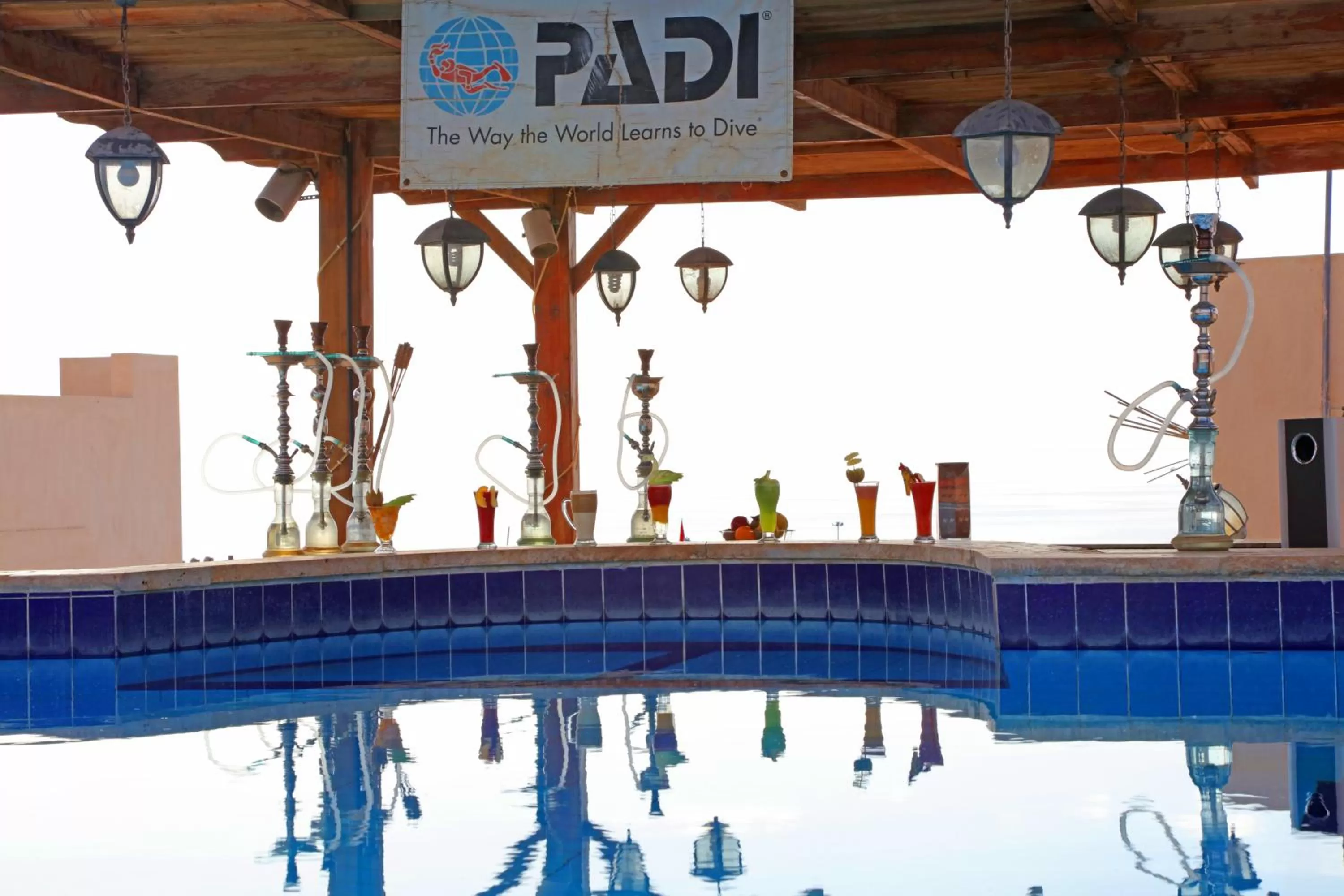 Lounge or bar in Aqaba Adventure Divers Resort & Dive Center