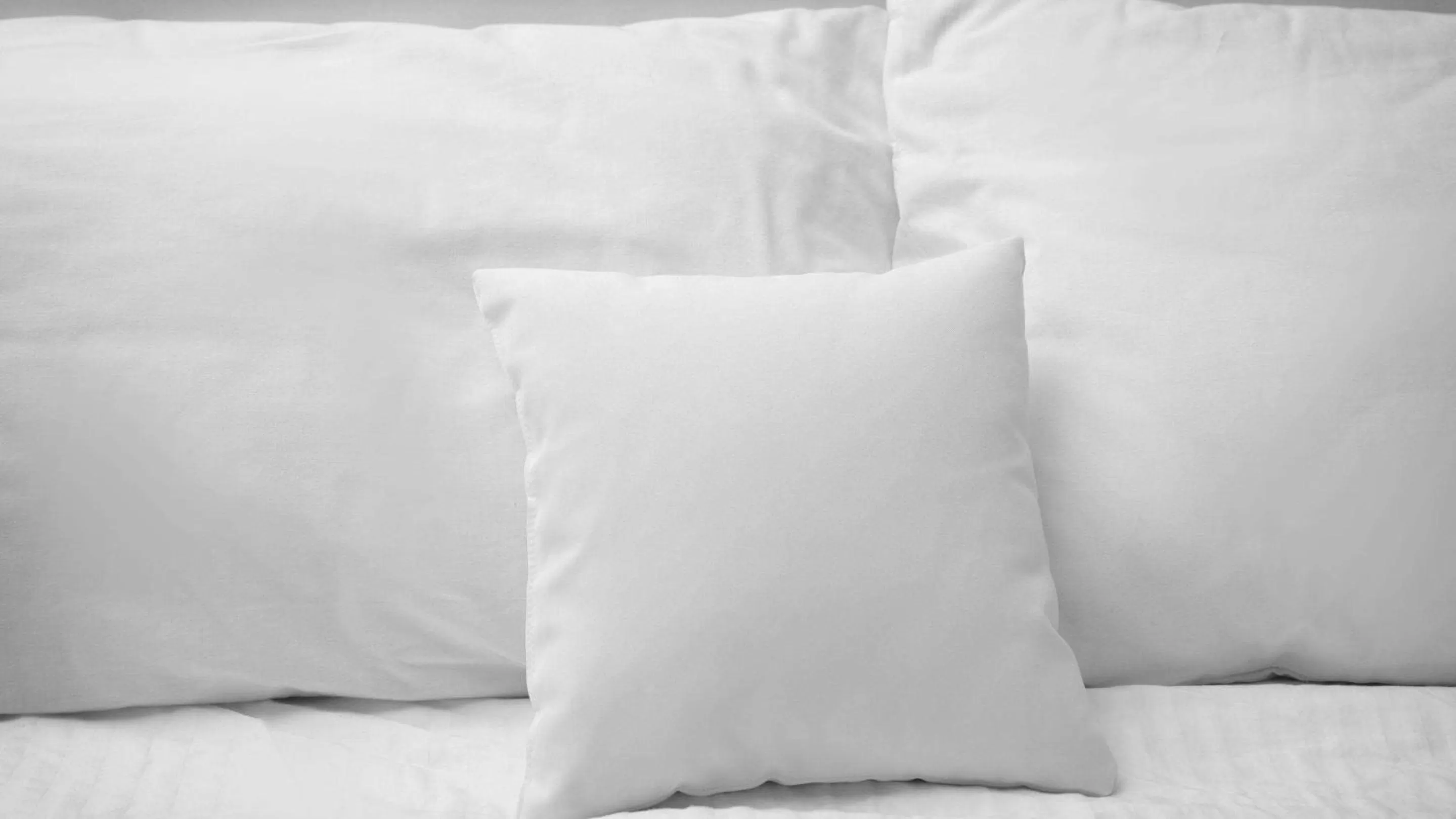 Photo of the whole room, Bed in Sun Plaza Motel