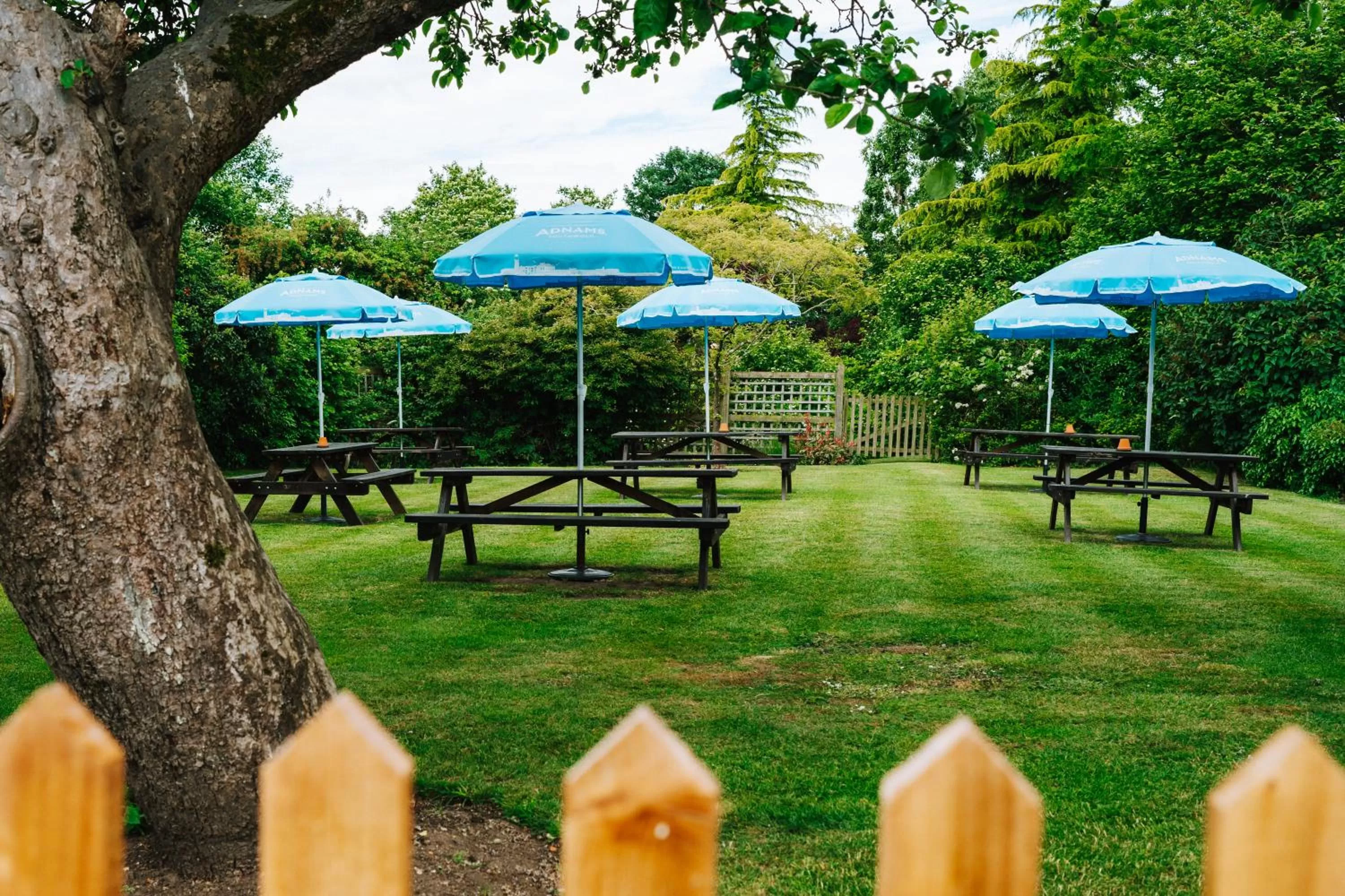Garden in The Bull Inn