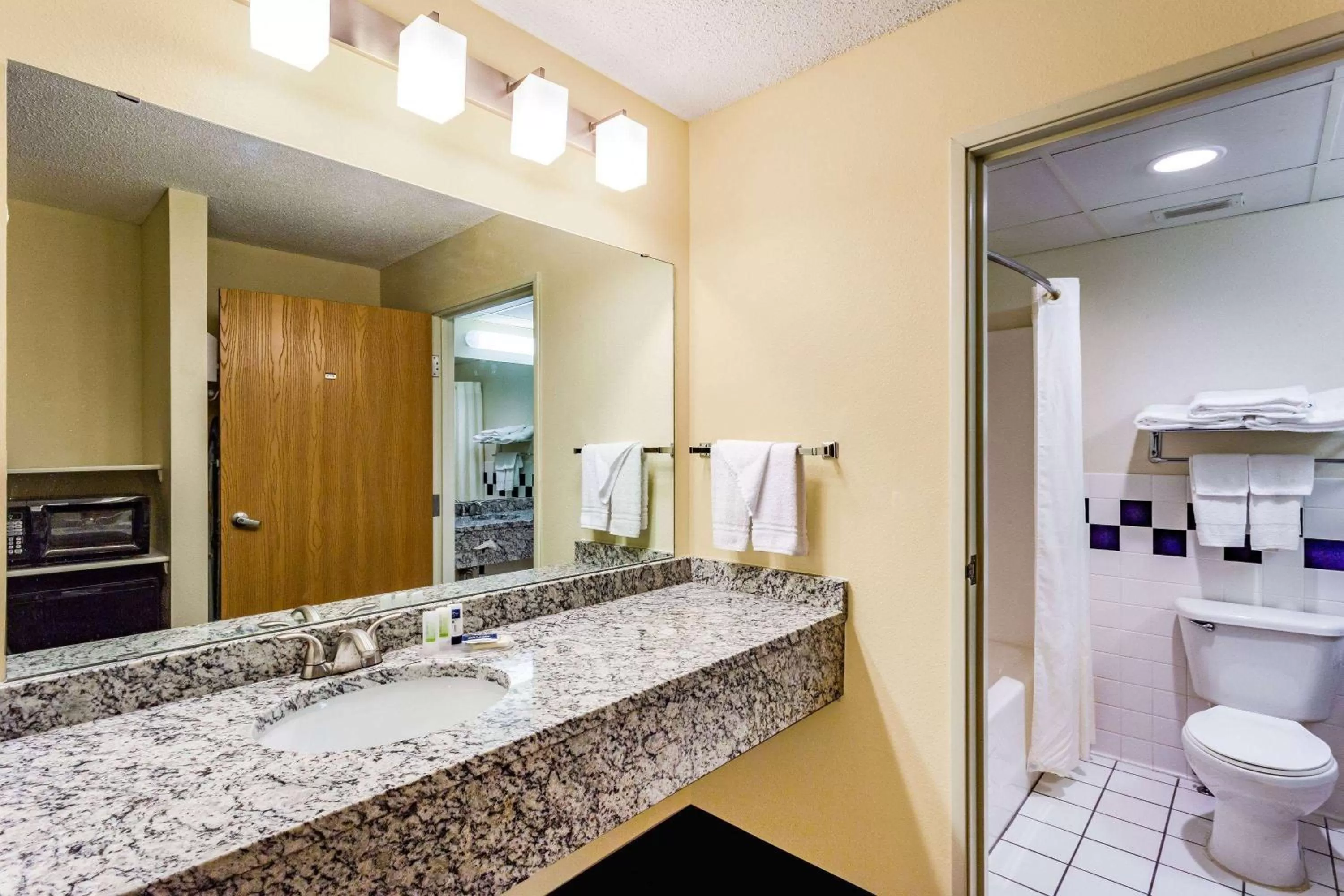 Bathroom in AmericInn by Wyndham Hotel and Suites Long Lake