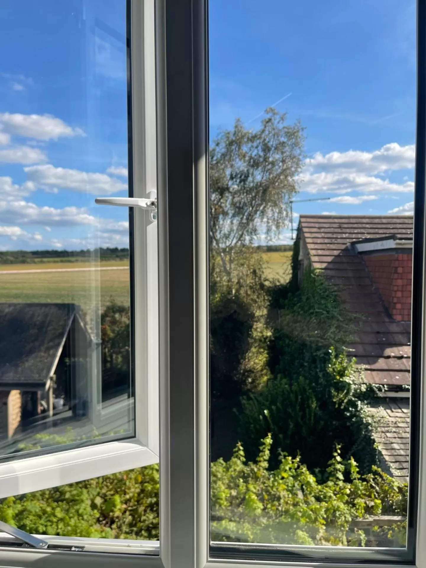 Garden view in The Horseshoe & Castle