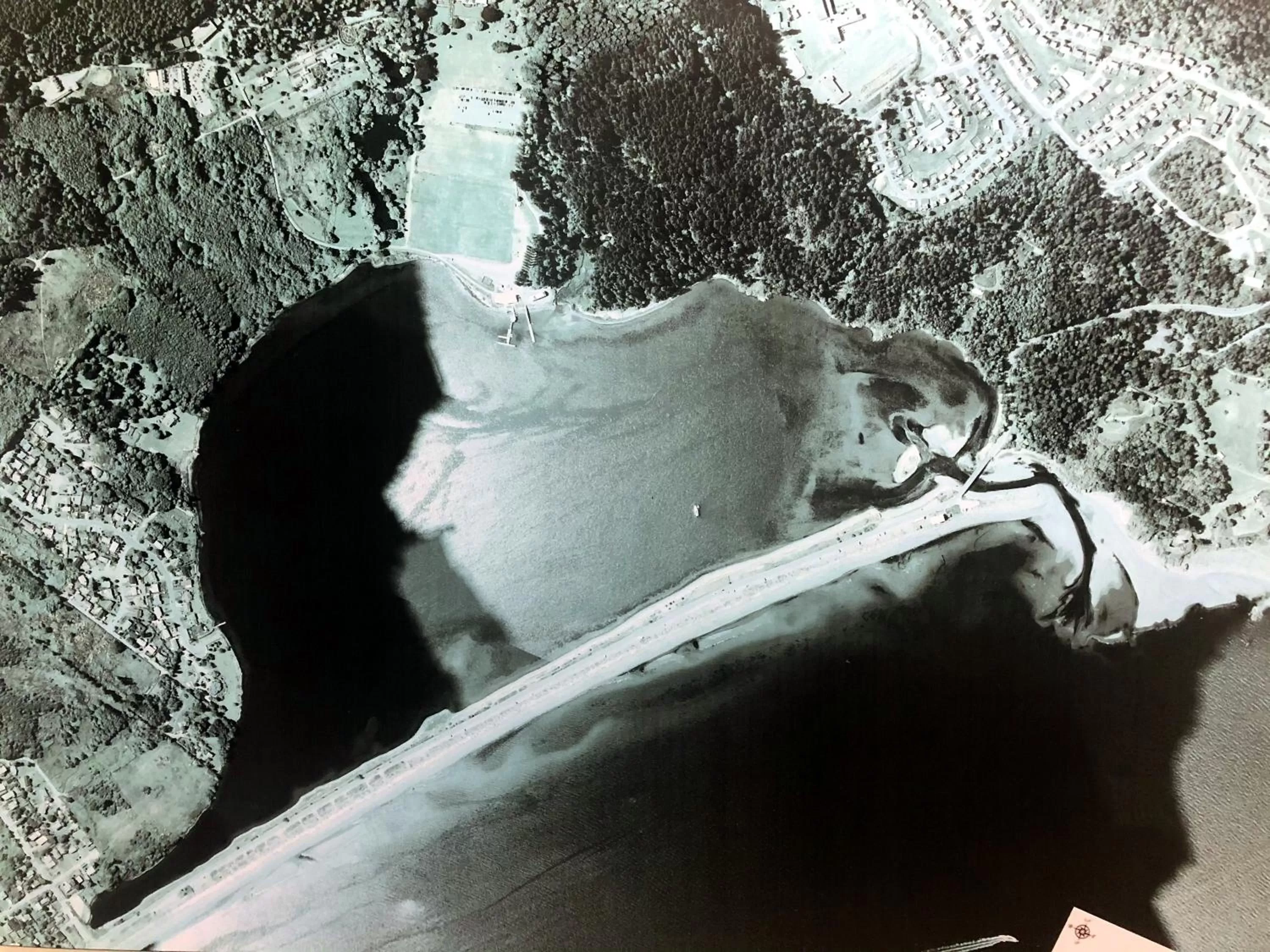 Text overlay in Birds of a Feather Victoria Oceanfront Studio Suites