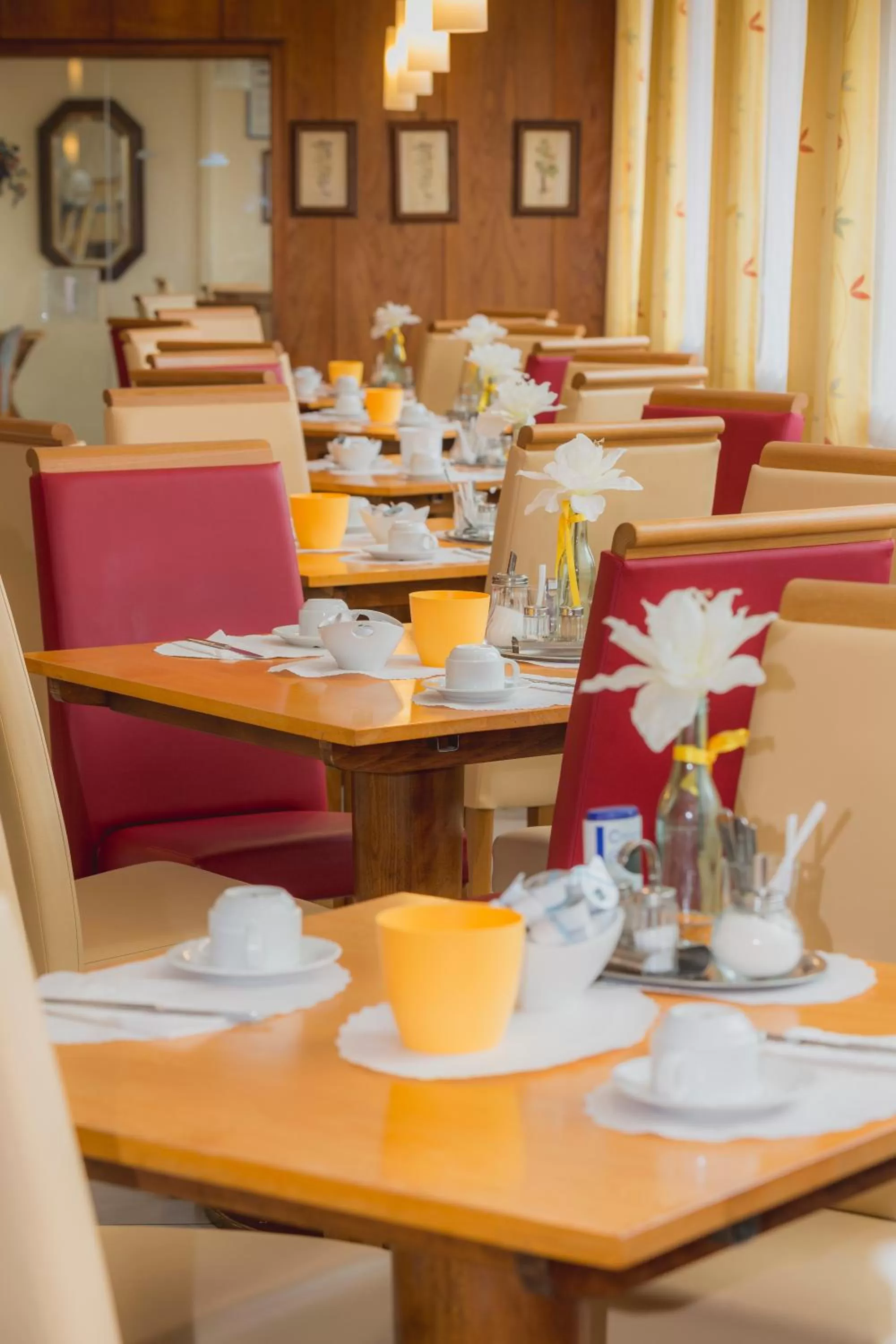 Restaurant/places to eat in Hotel Excelsior