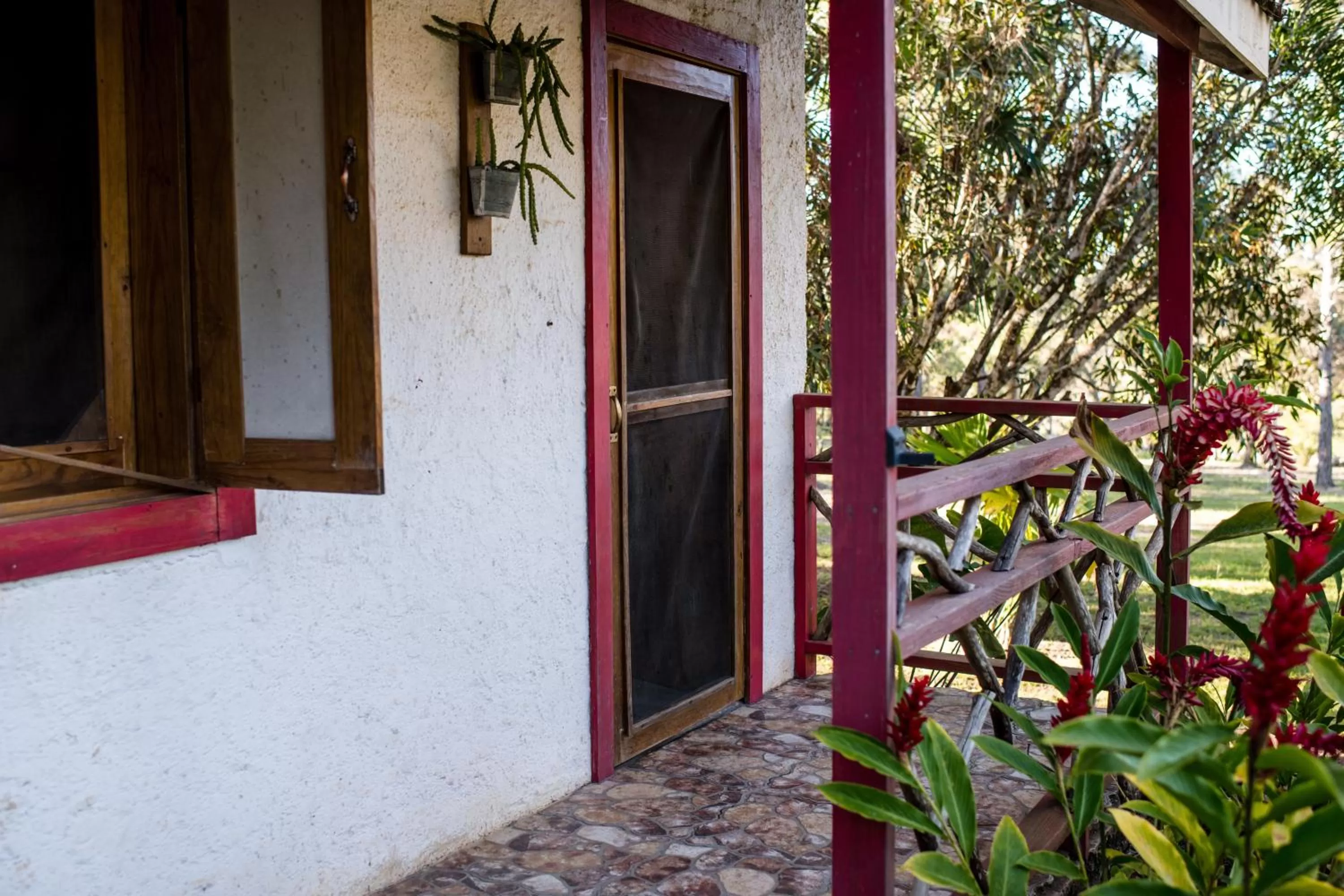 View (from property/room) in Pine Ridge Lodge