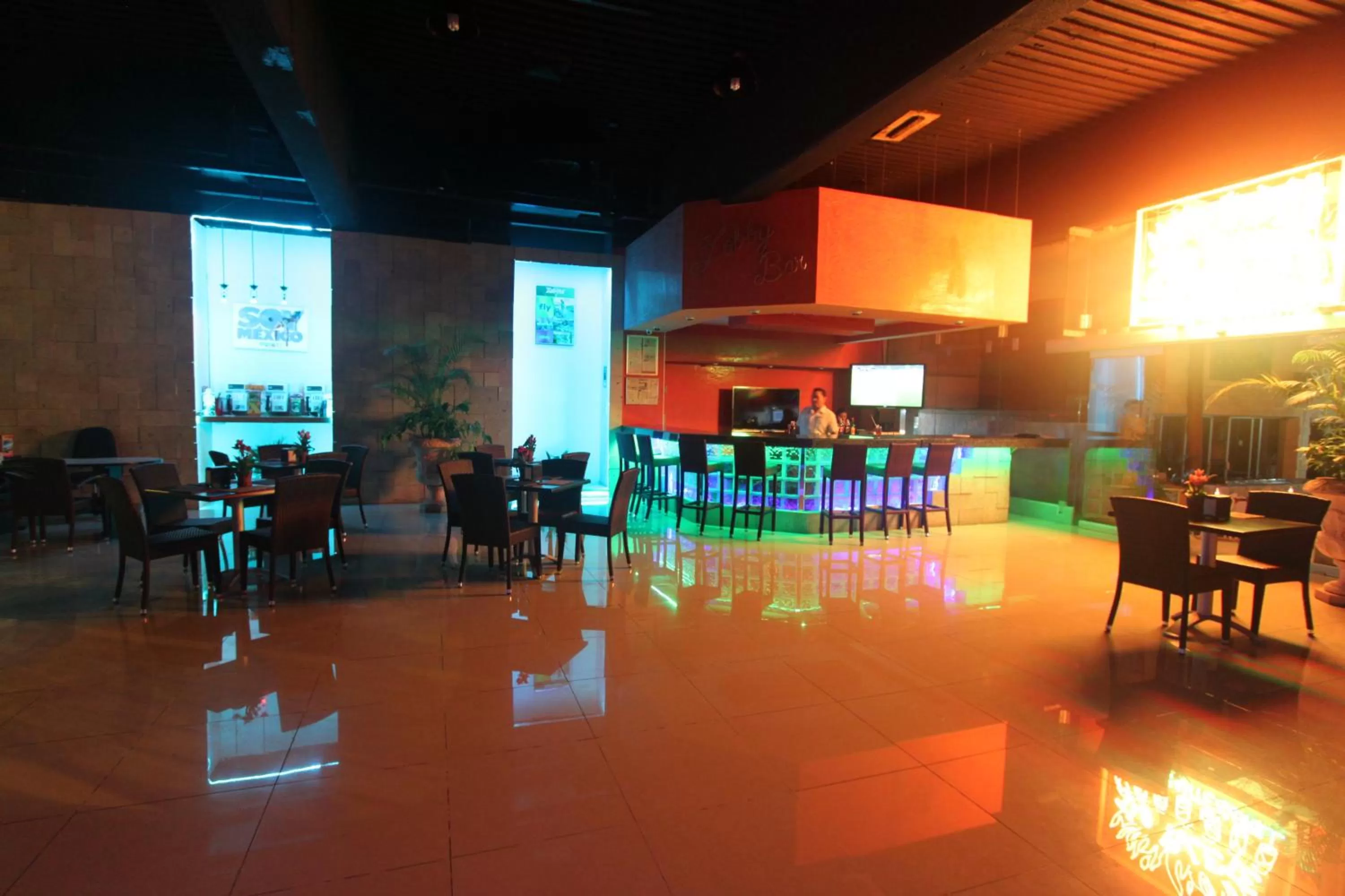 Lounge or bar in Hotel Plaza Caribe