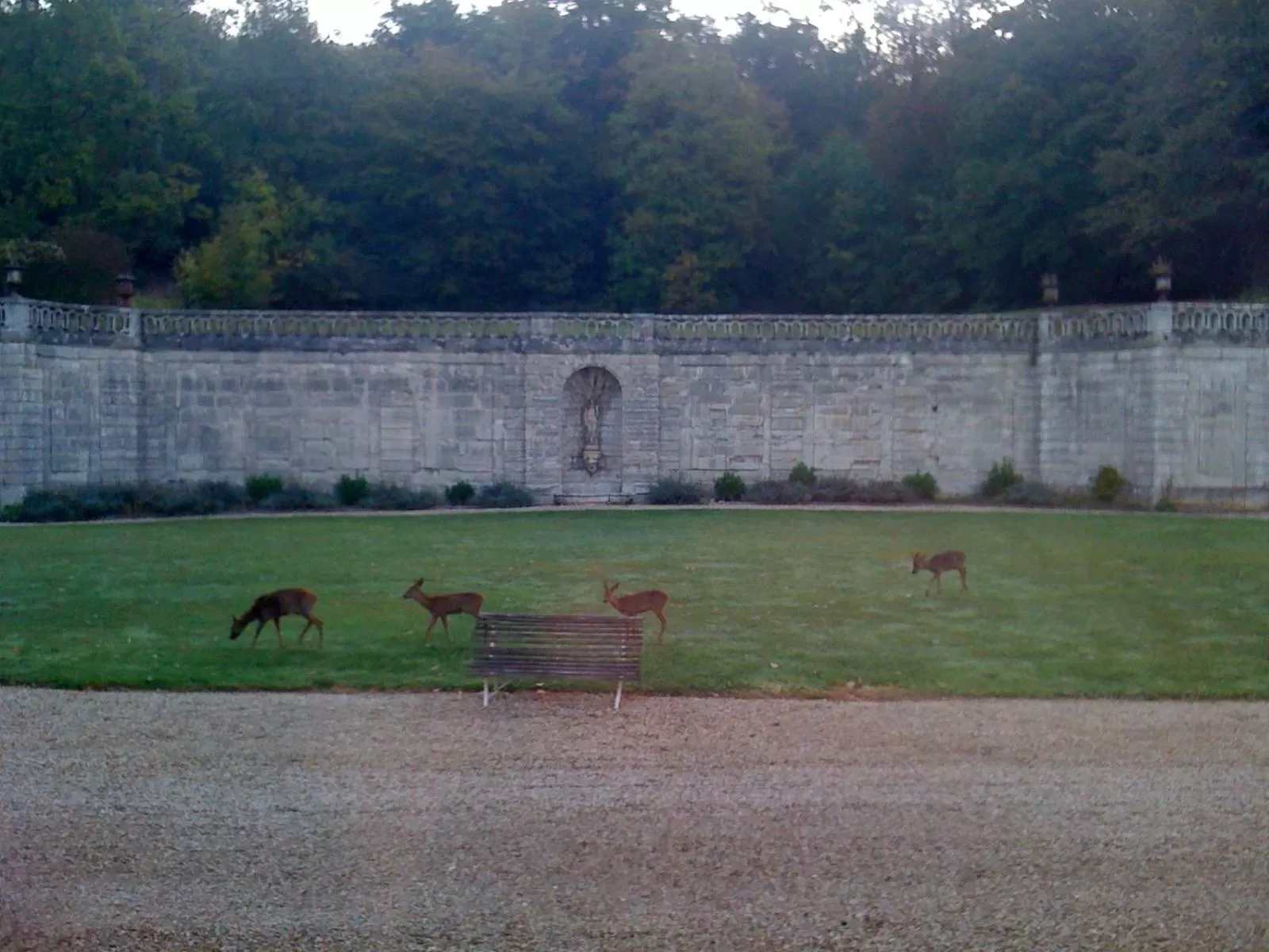 Natural landscape in La Grande Maison