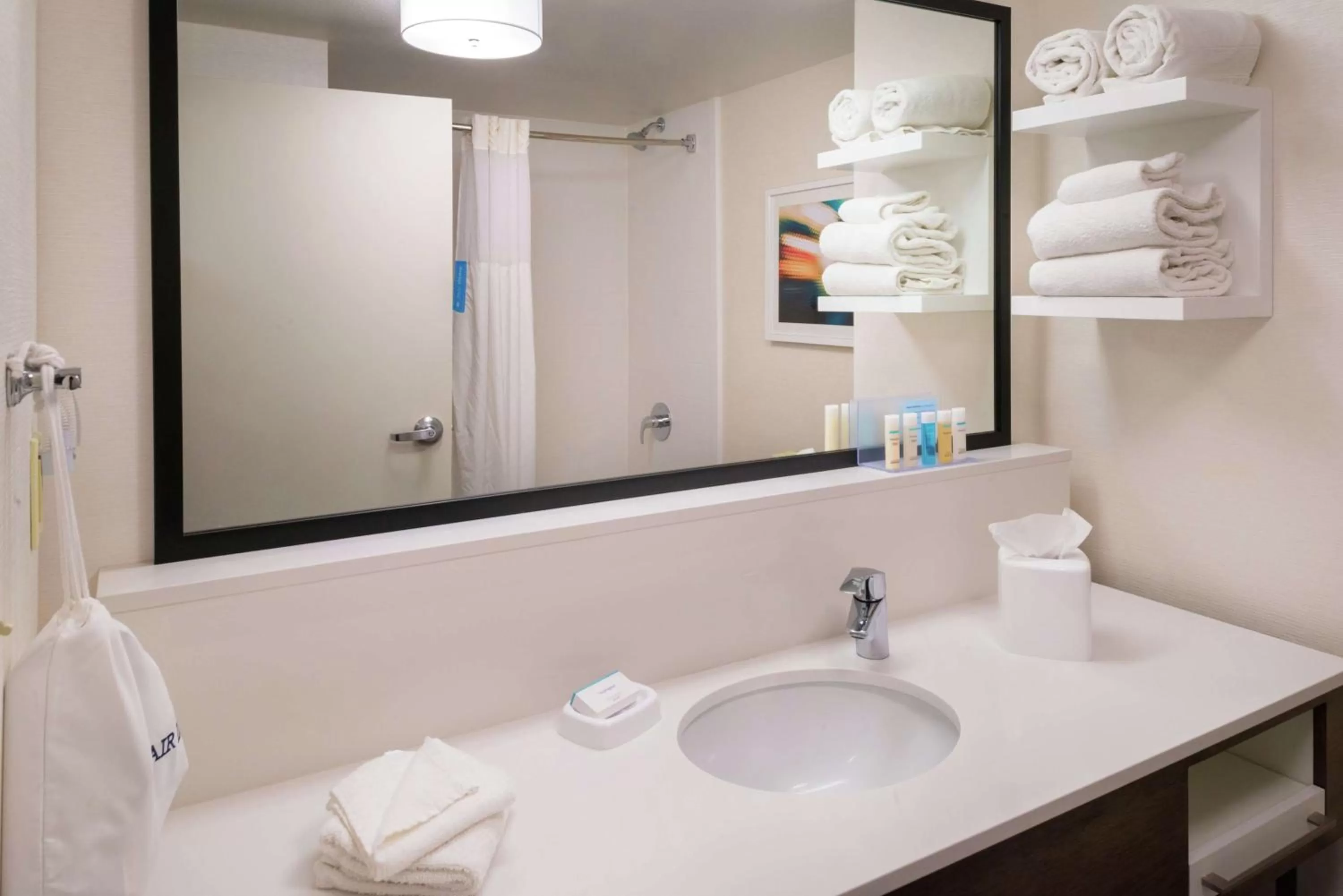 Bathroom in Hampton Inn & Suites Carson City