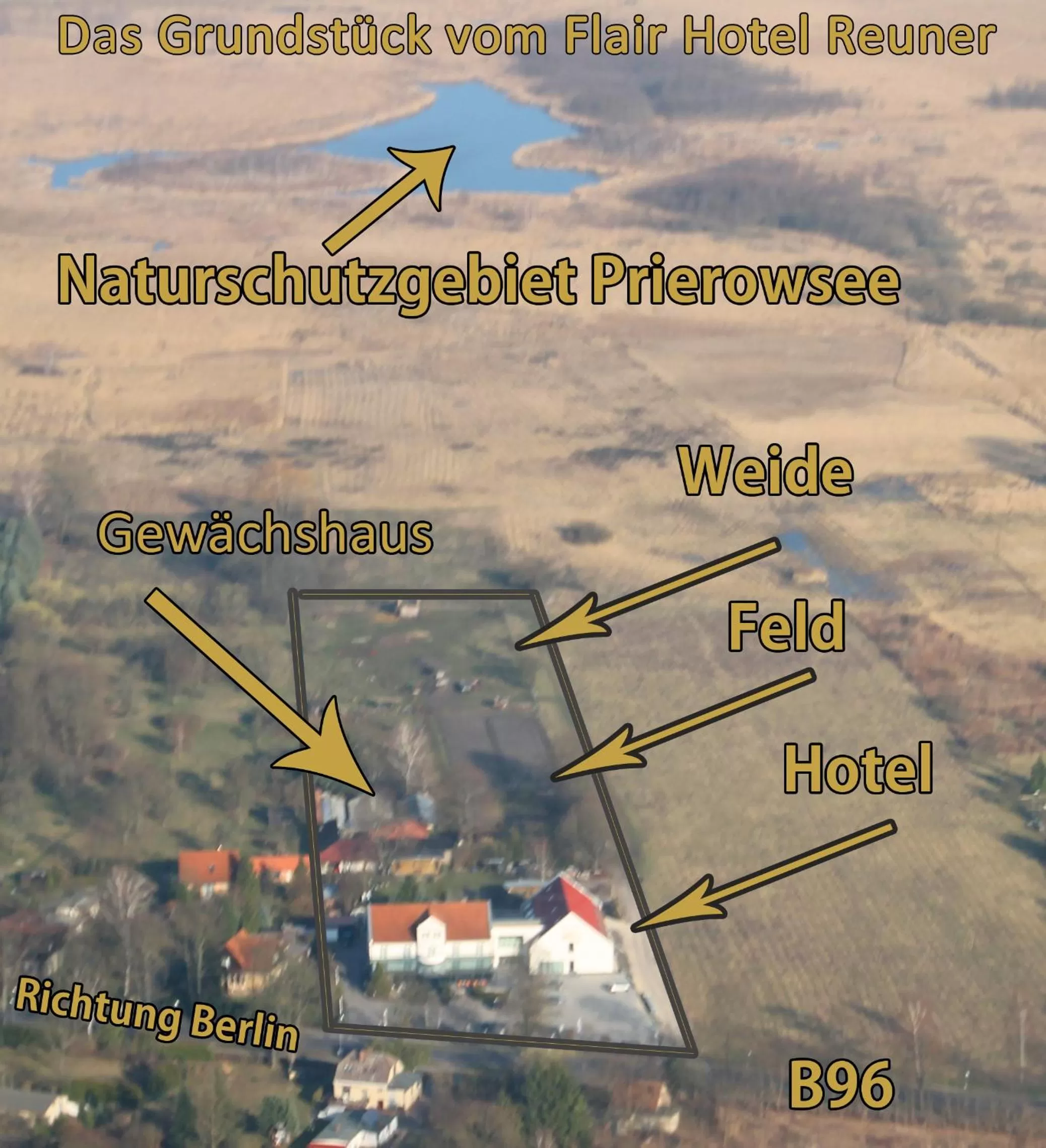 Pets in Flair Hotel Reuner