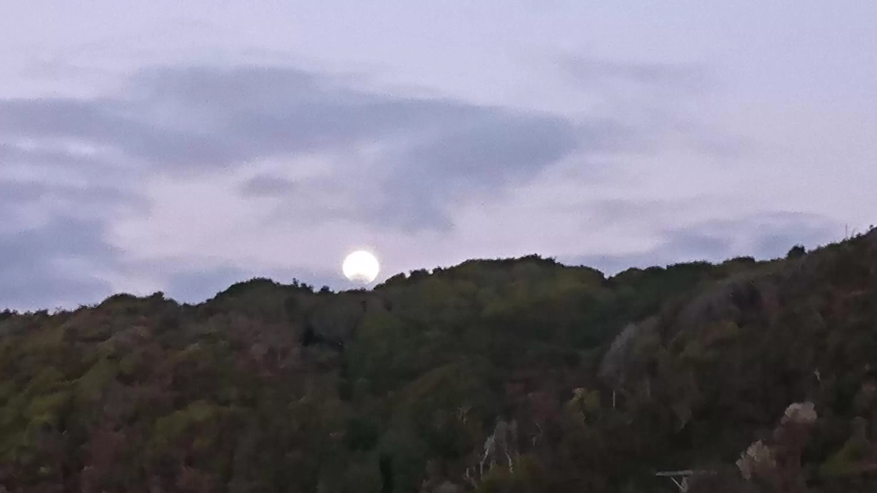 Natural landscape in Awatuna Sunset Lodge