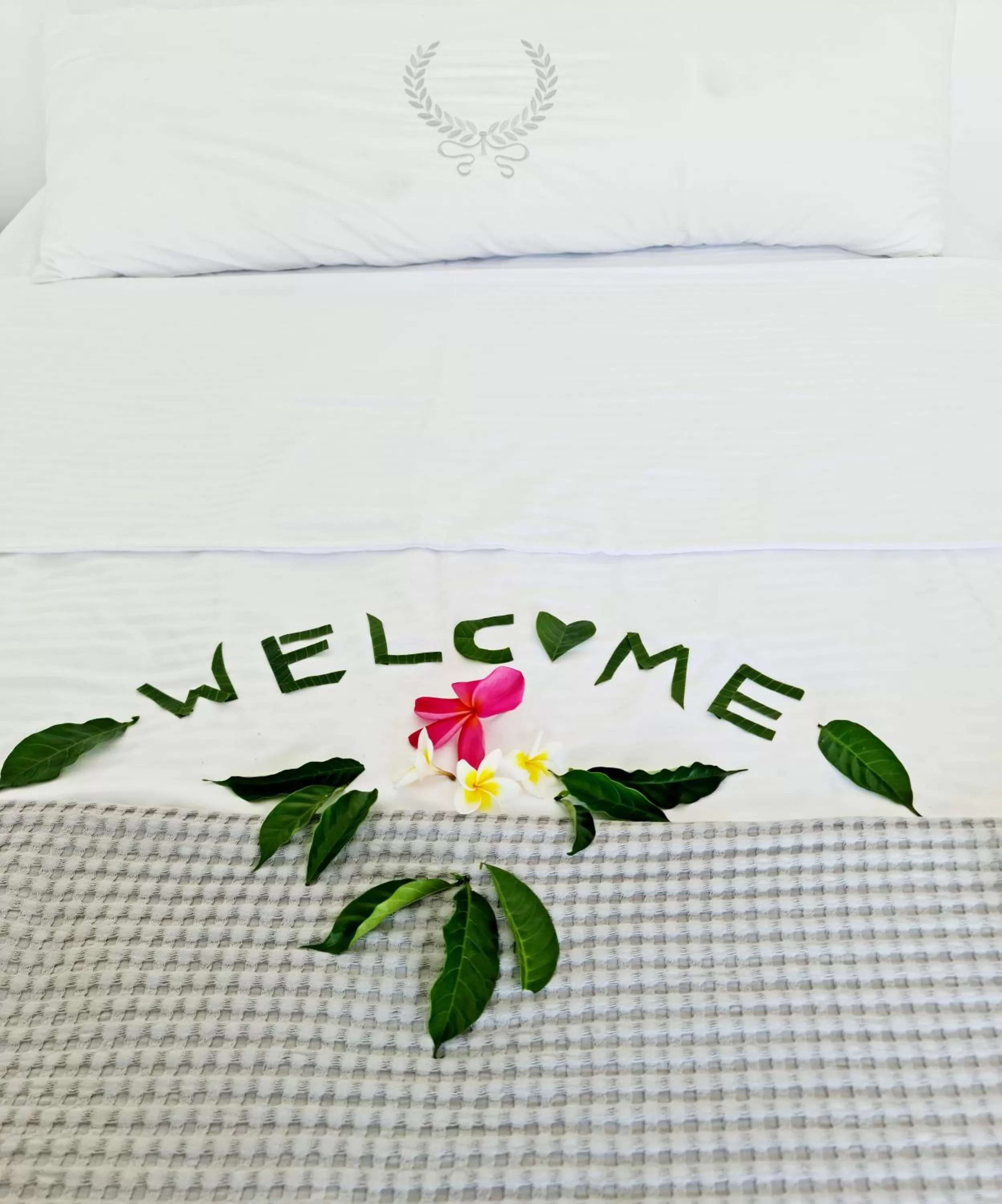 Danielle boutique suite