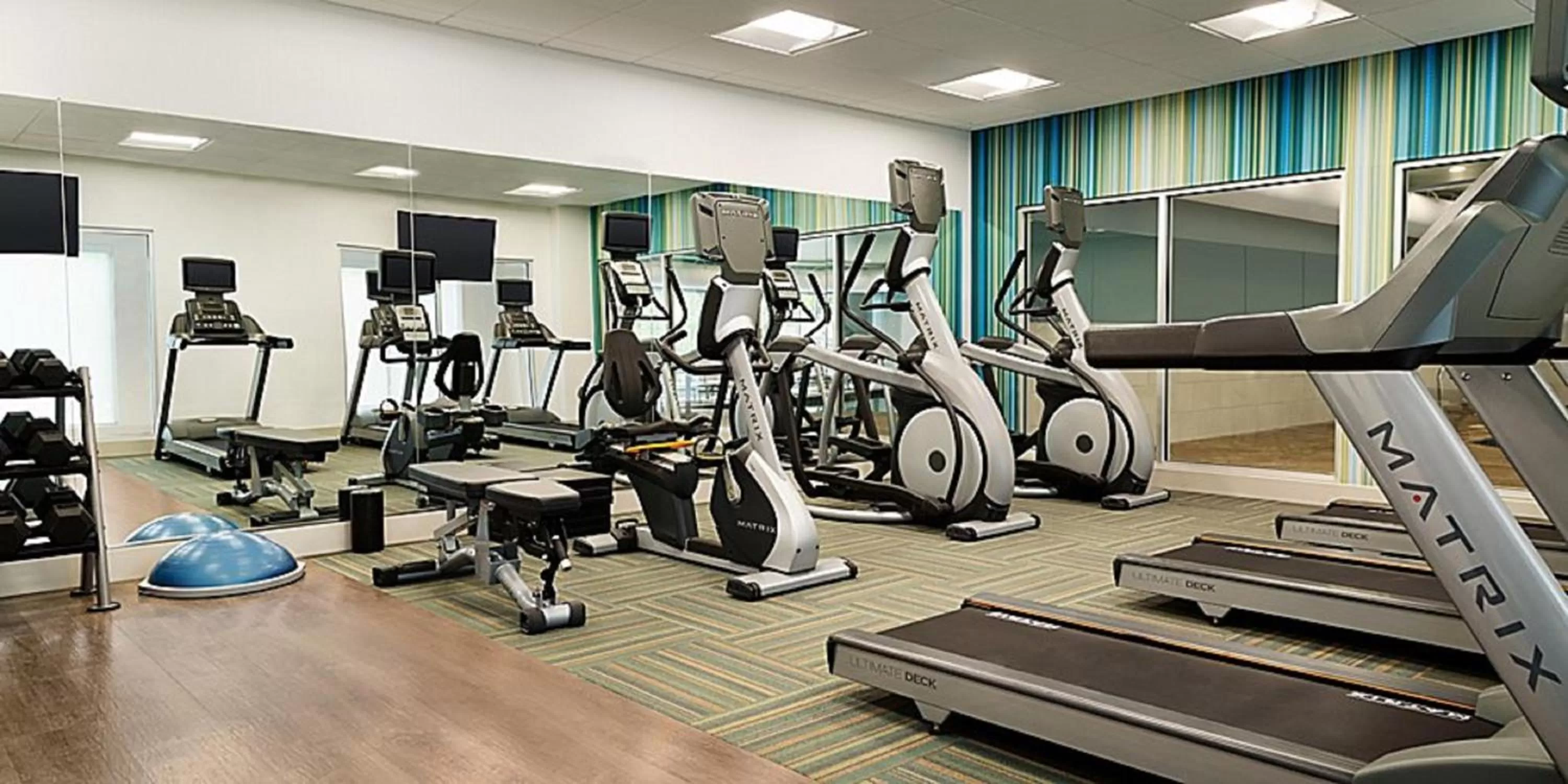 Fitness centre/facilities in Holiday Inn Express & Suites - Greenville - Taylors by IHG