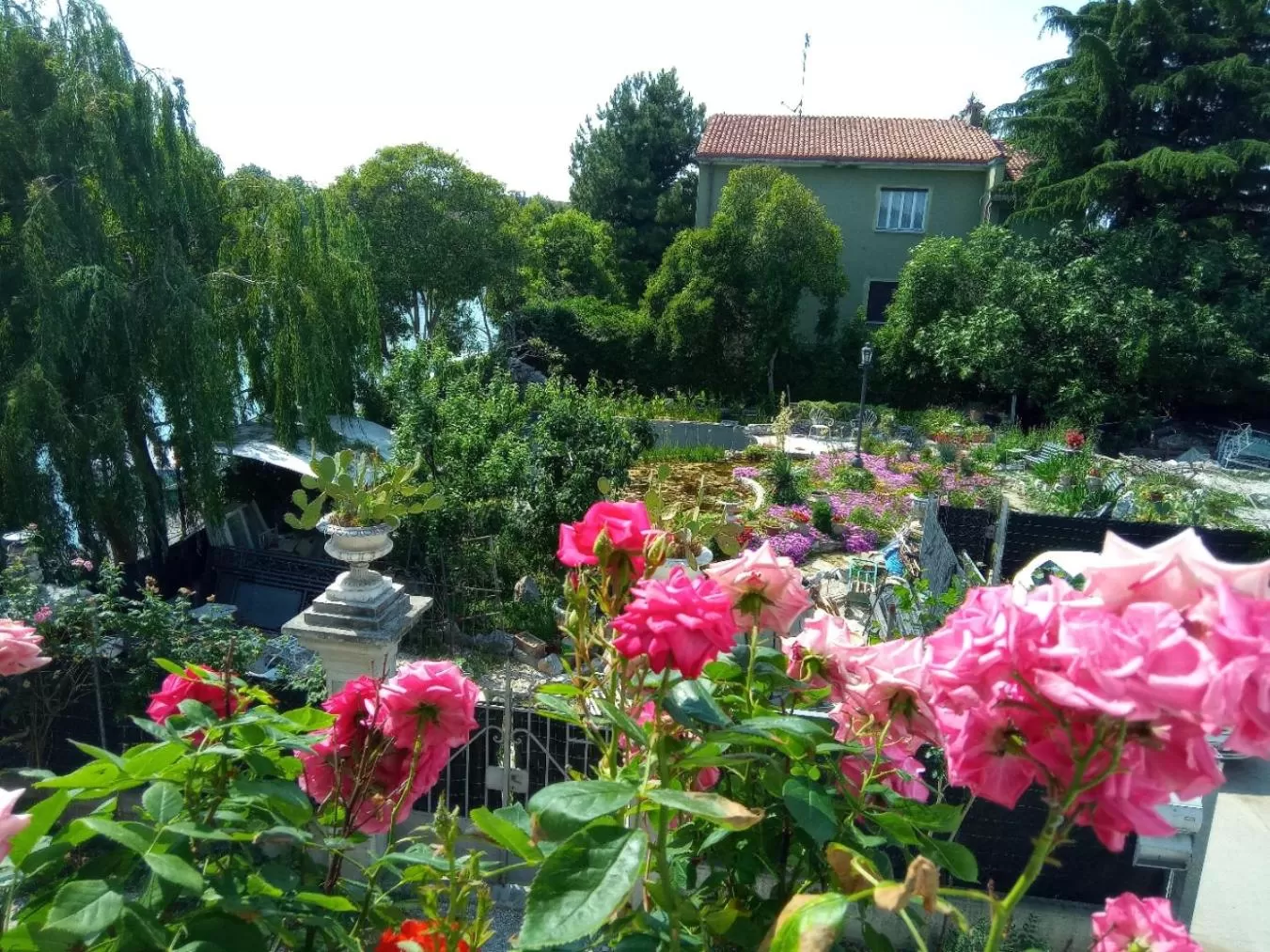 Garden view in Villa Fiorita