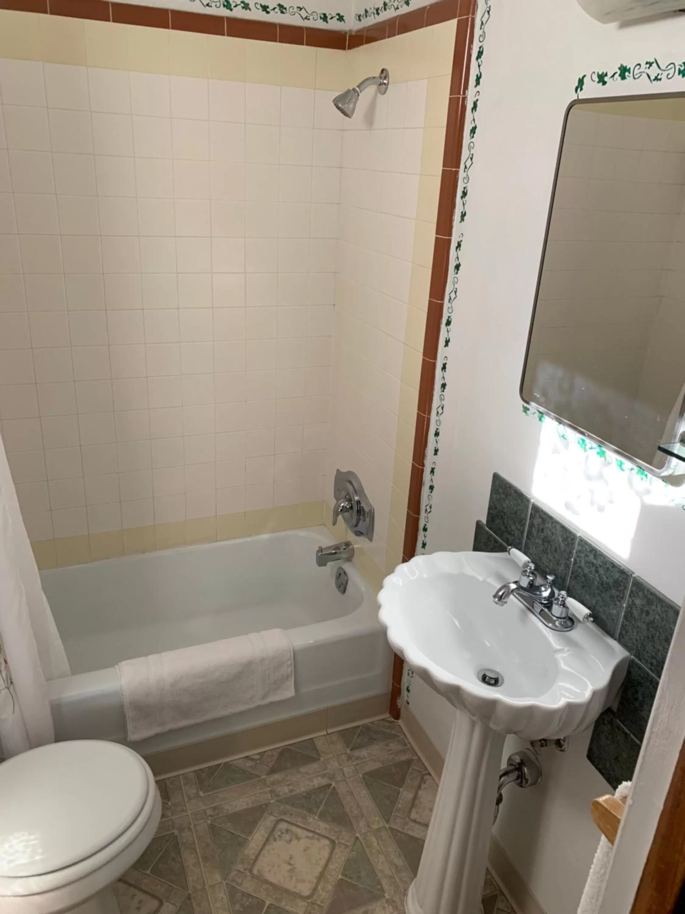 Bathroom in Sugarloaf Mountain Motel