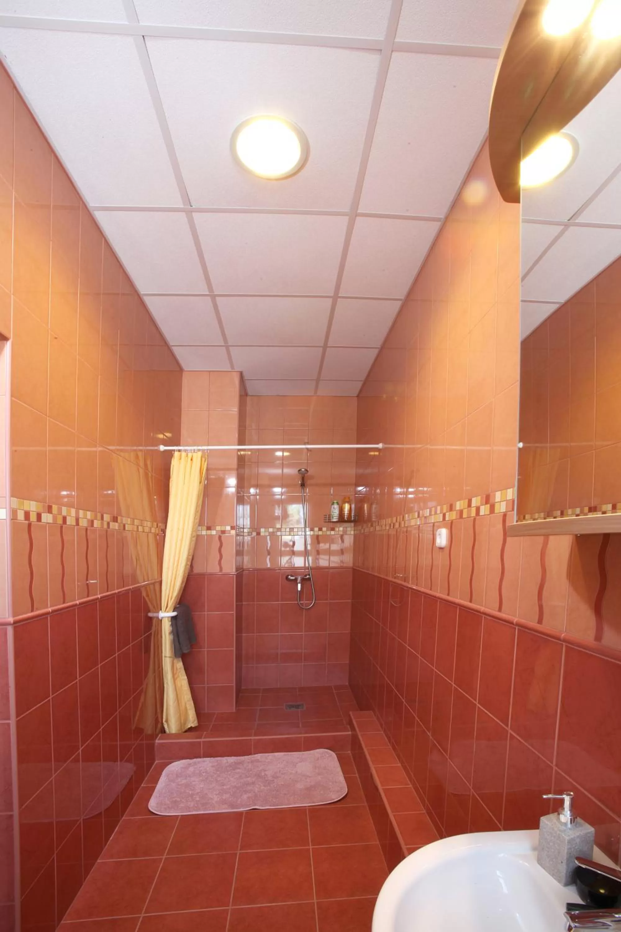 Shower in Airport Szálló