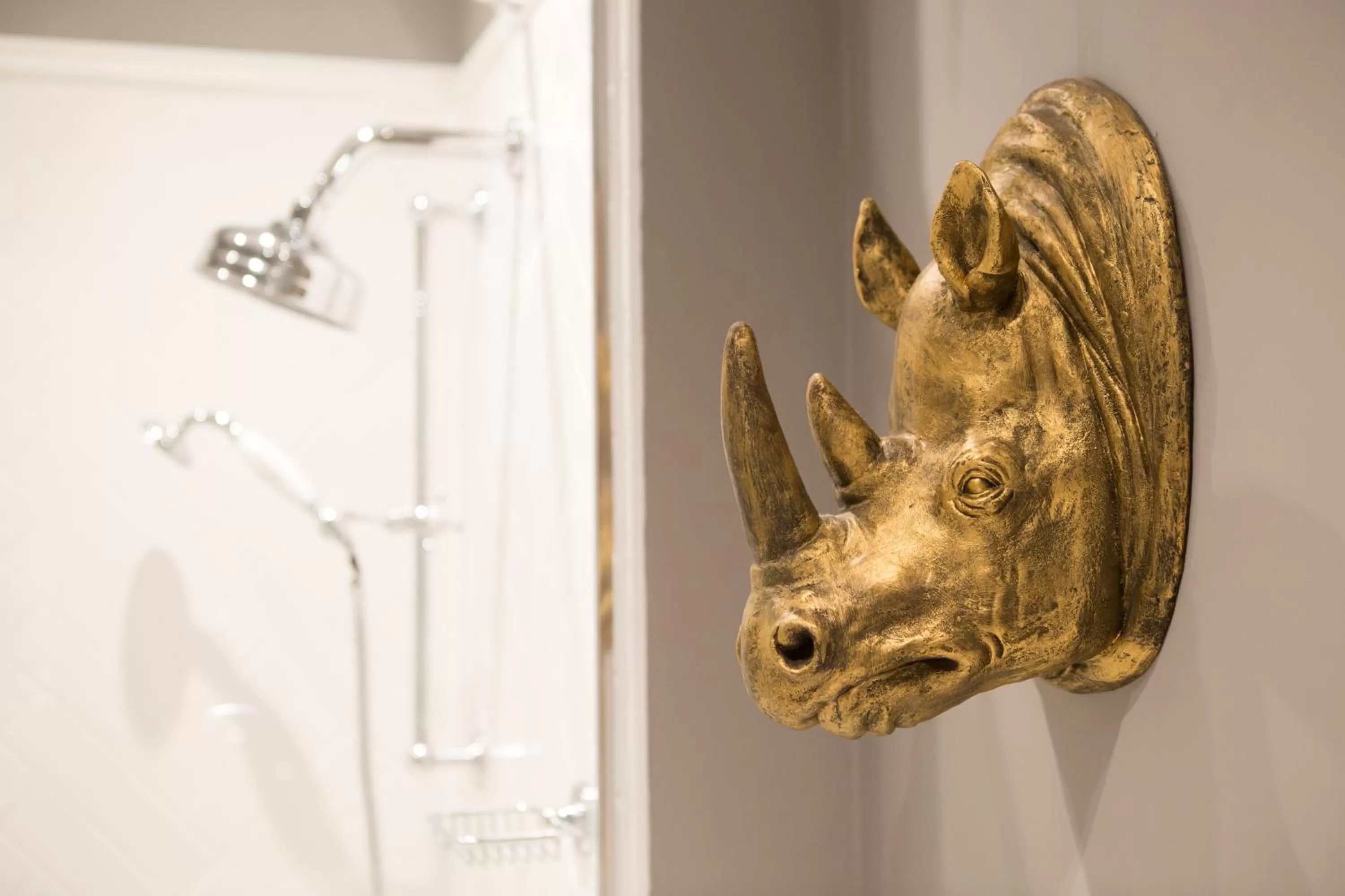 Bathroom, Other Animals in Mount Edgcumbe