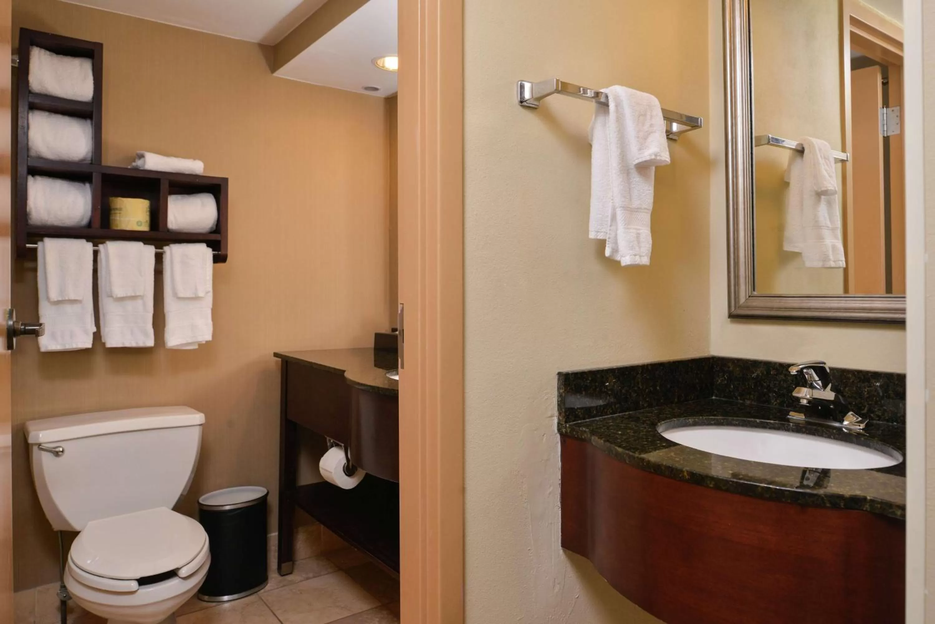 Bathroom in Hampton Inn South Hill