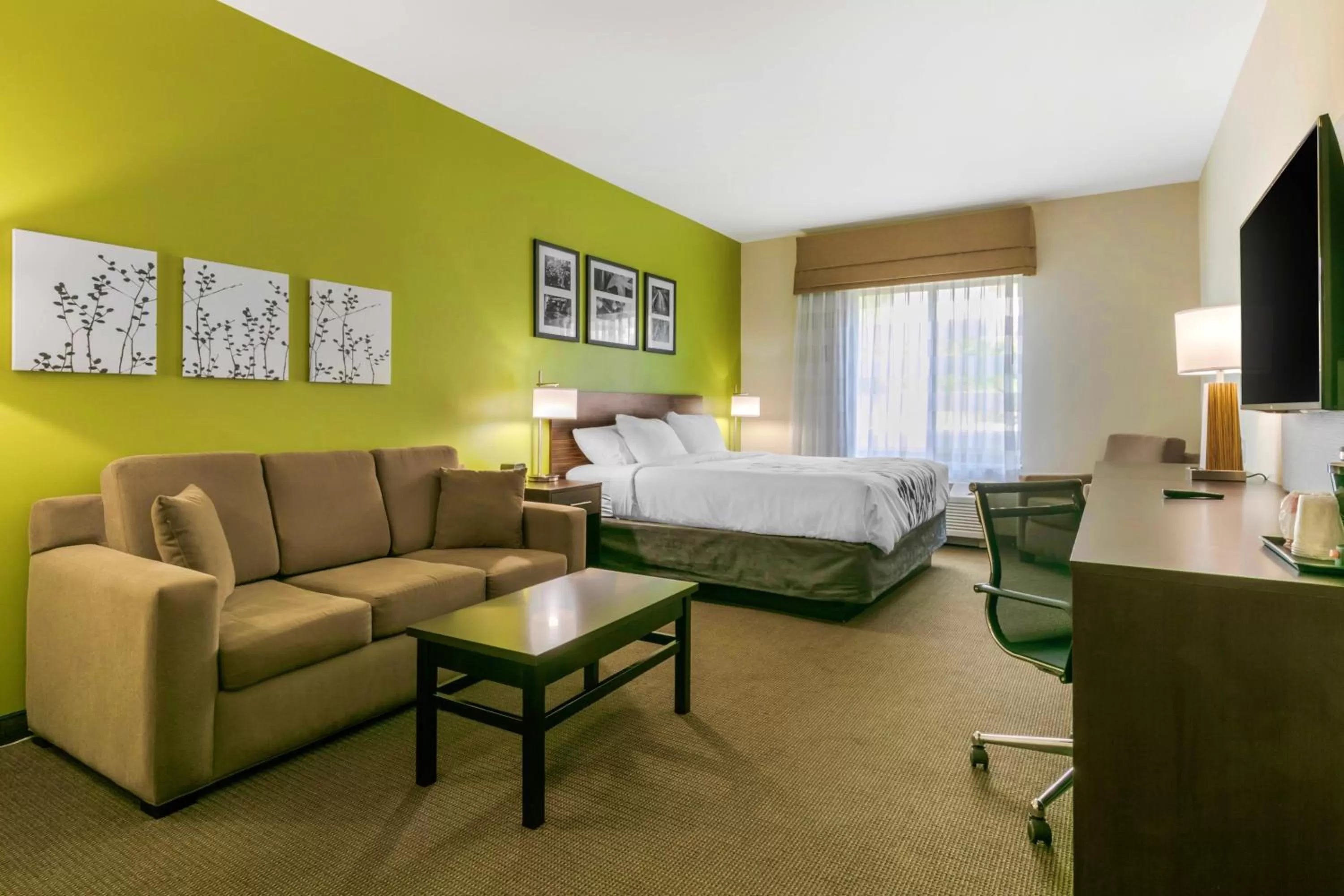 King Suite with Sofa Bed - Non-Smoking in Sleep Inn & Suites Columbia I-65