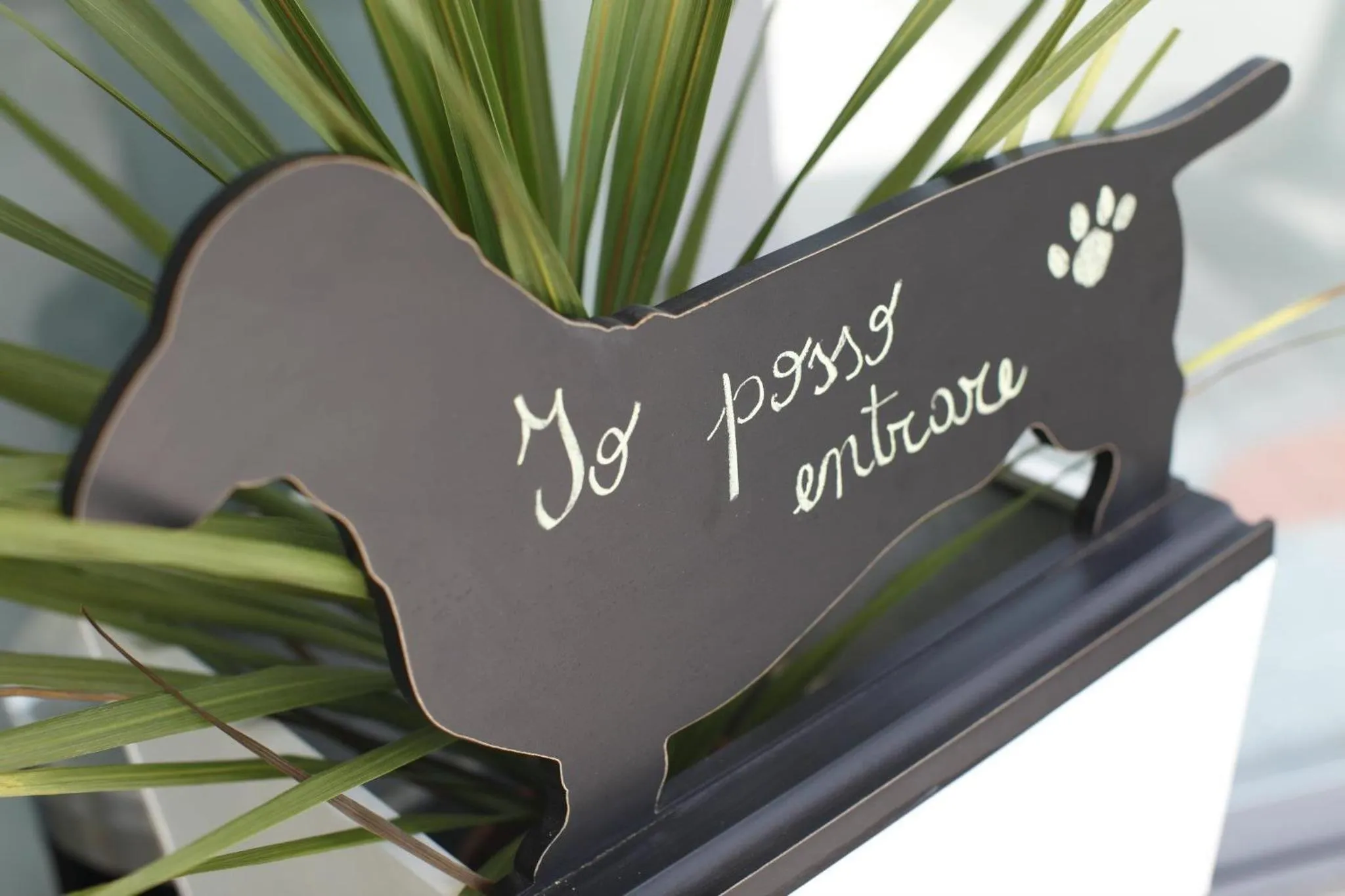 Property logo or sign in Hotel Principe